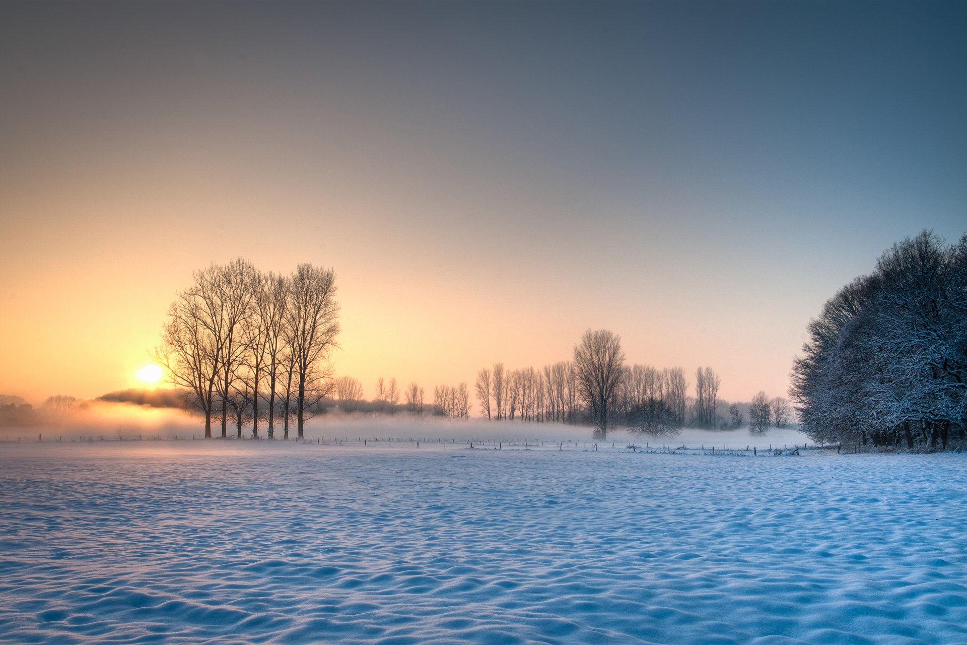 winter the field snow sun sky tree