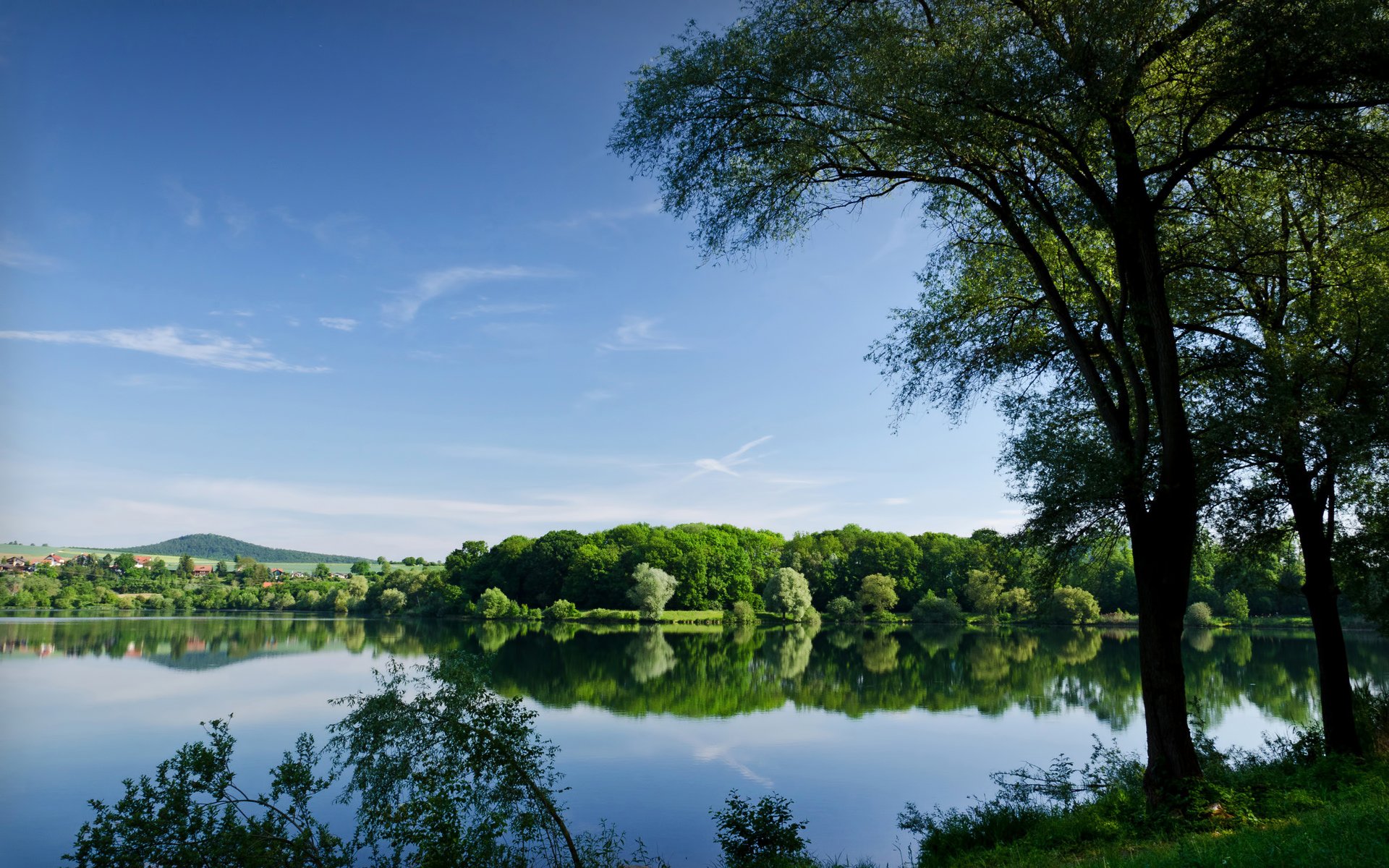 ummer tree reservoir river lake reflection