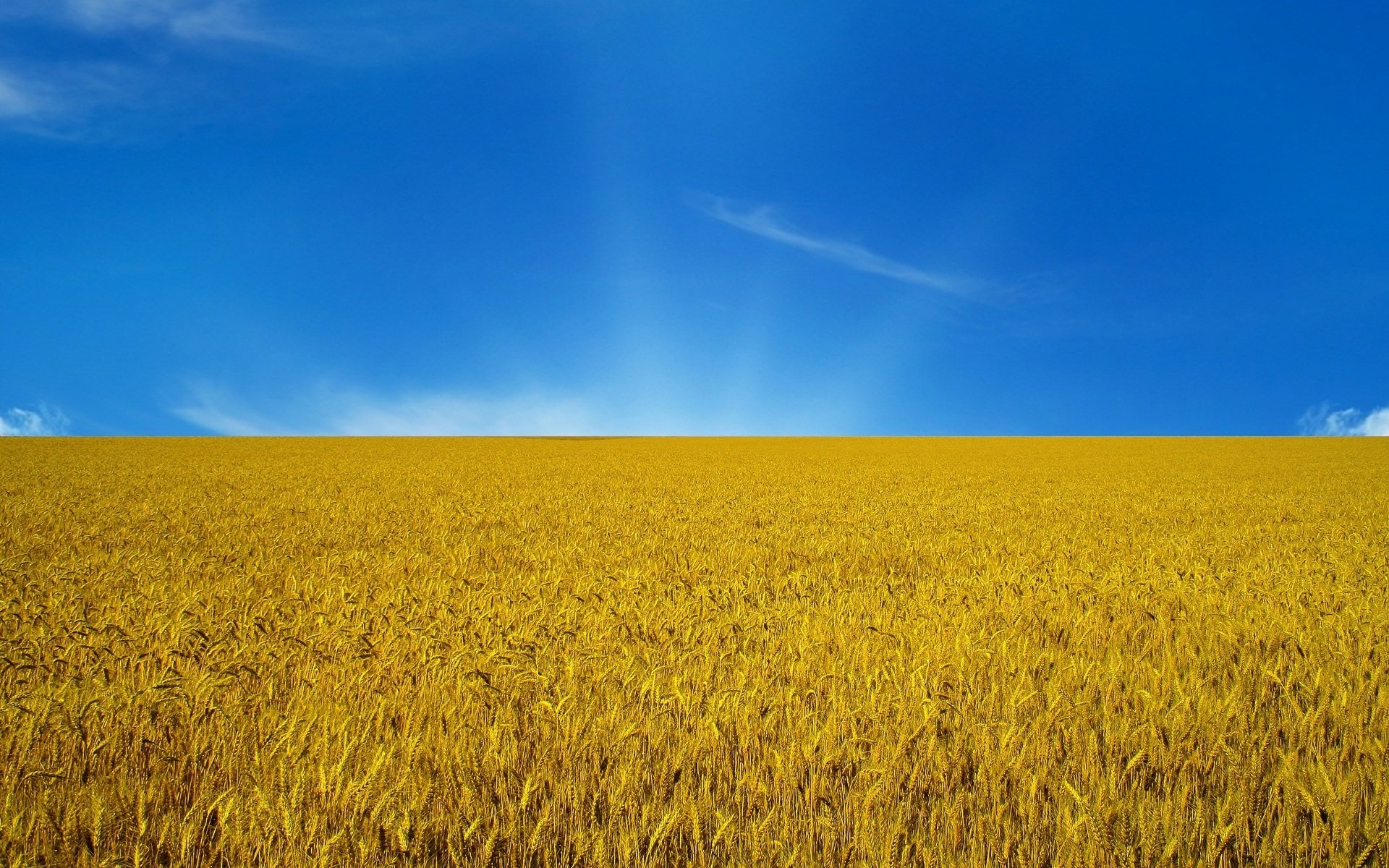 ukraine drapeau ciel