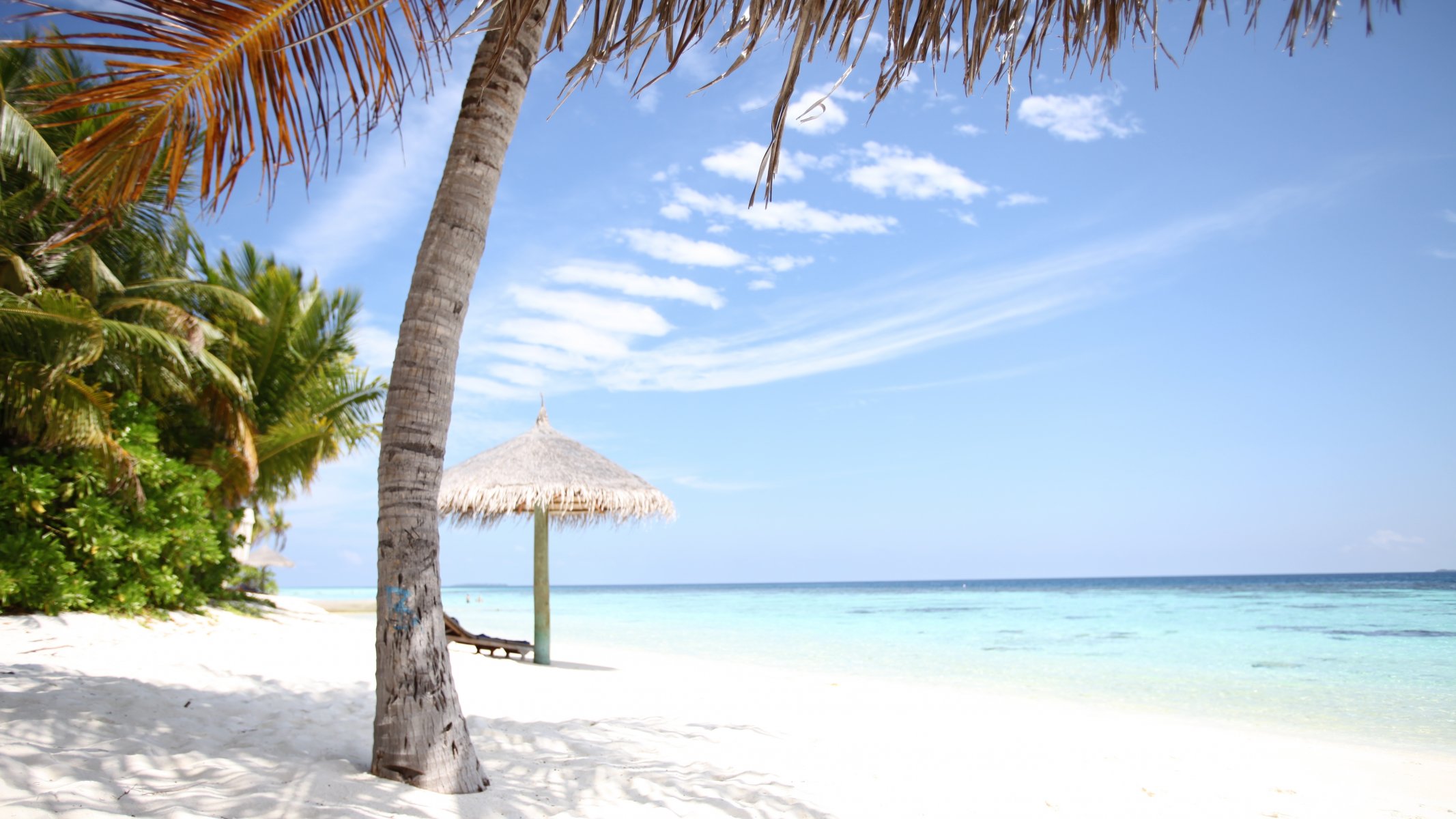 chaise longue loisirs sable blanc maldives seychelles île