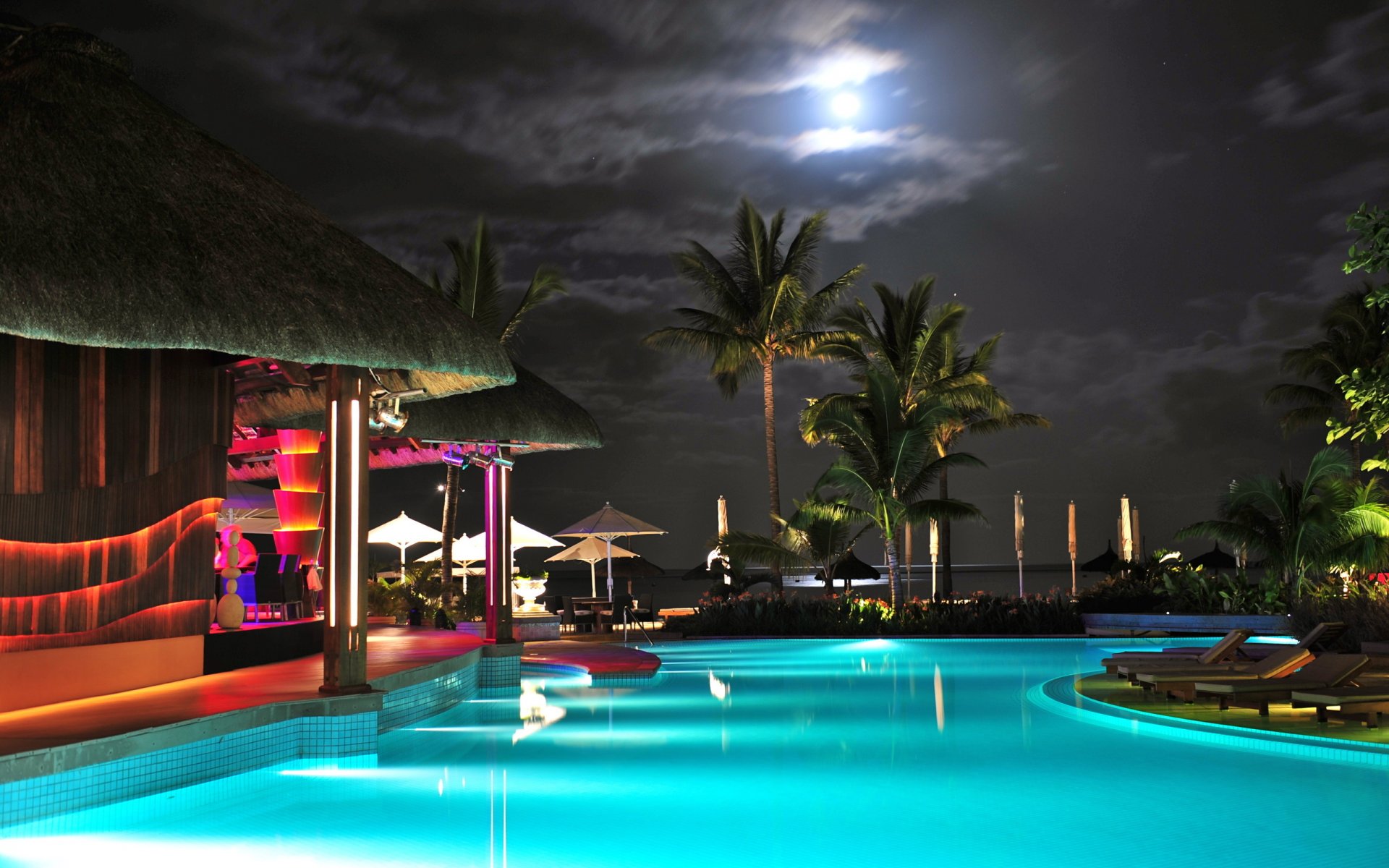 eau piscine palmier ciel lune rétro-éclairage
