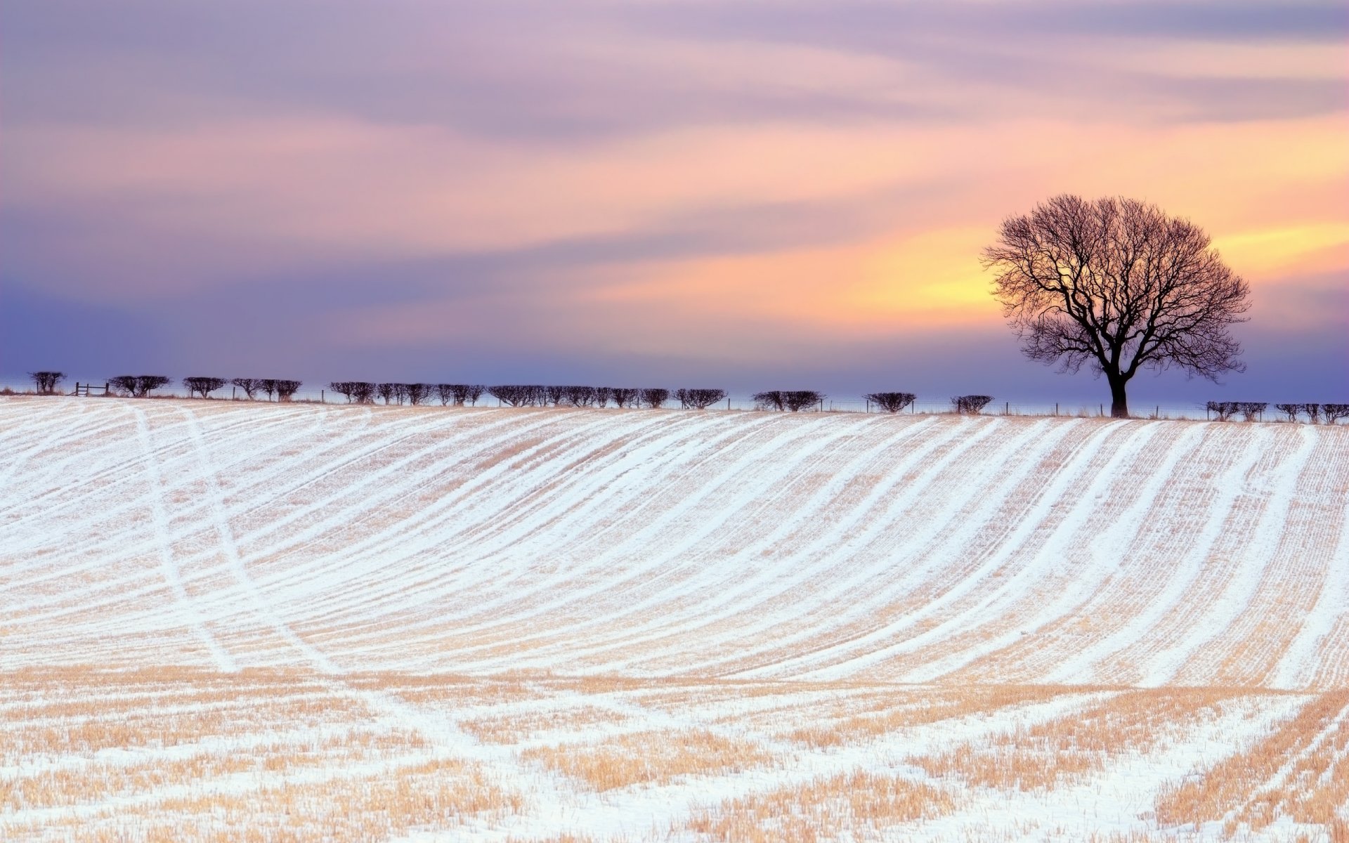 hiver champ neige arbre buissons ciel nuages peinture