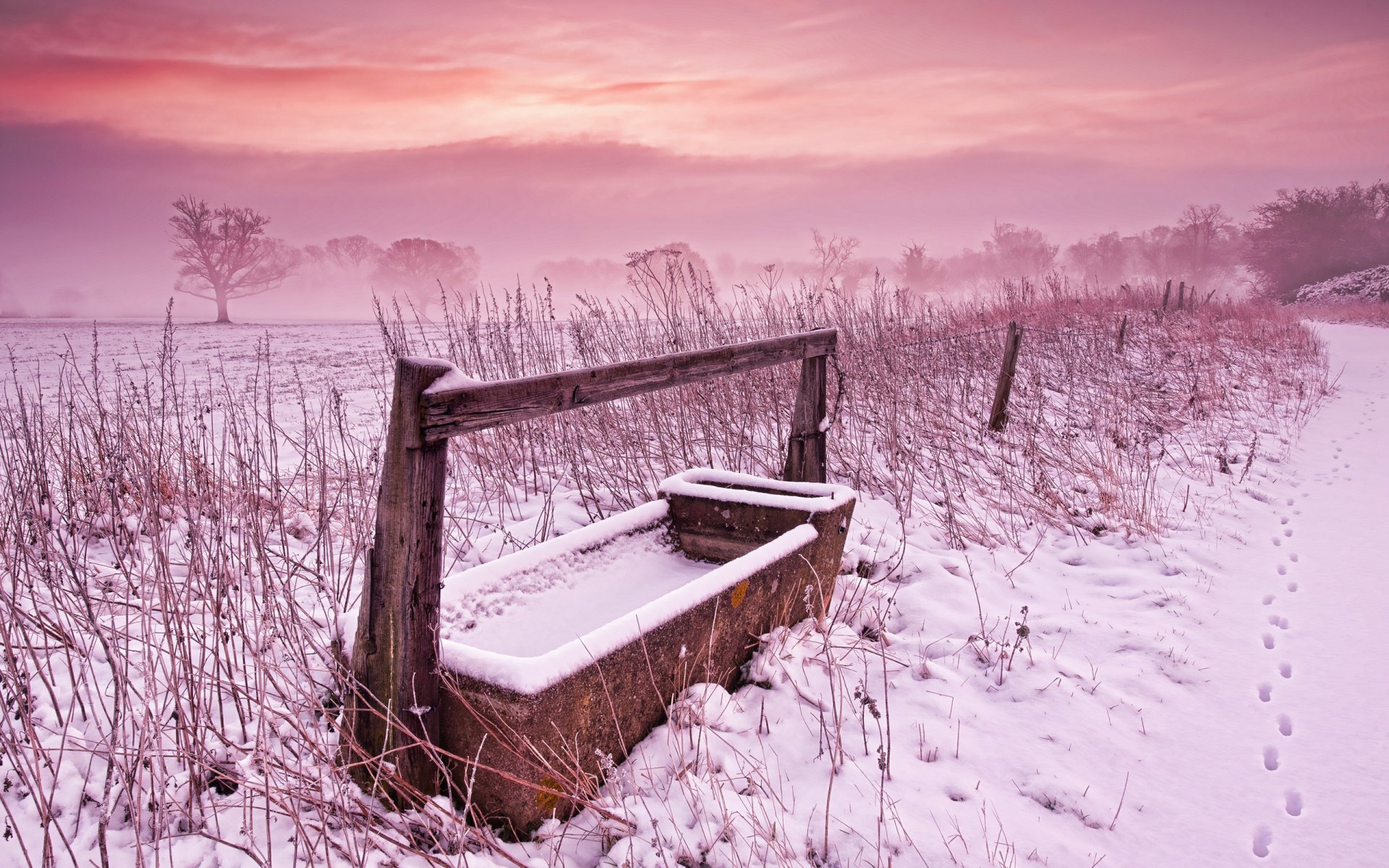 hiver champ herbe neige ciel peinture