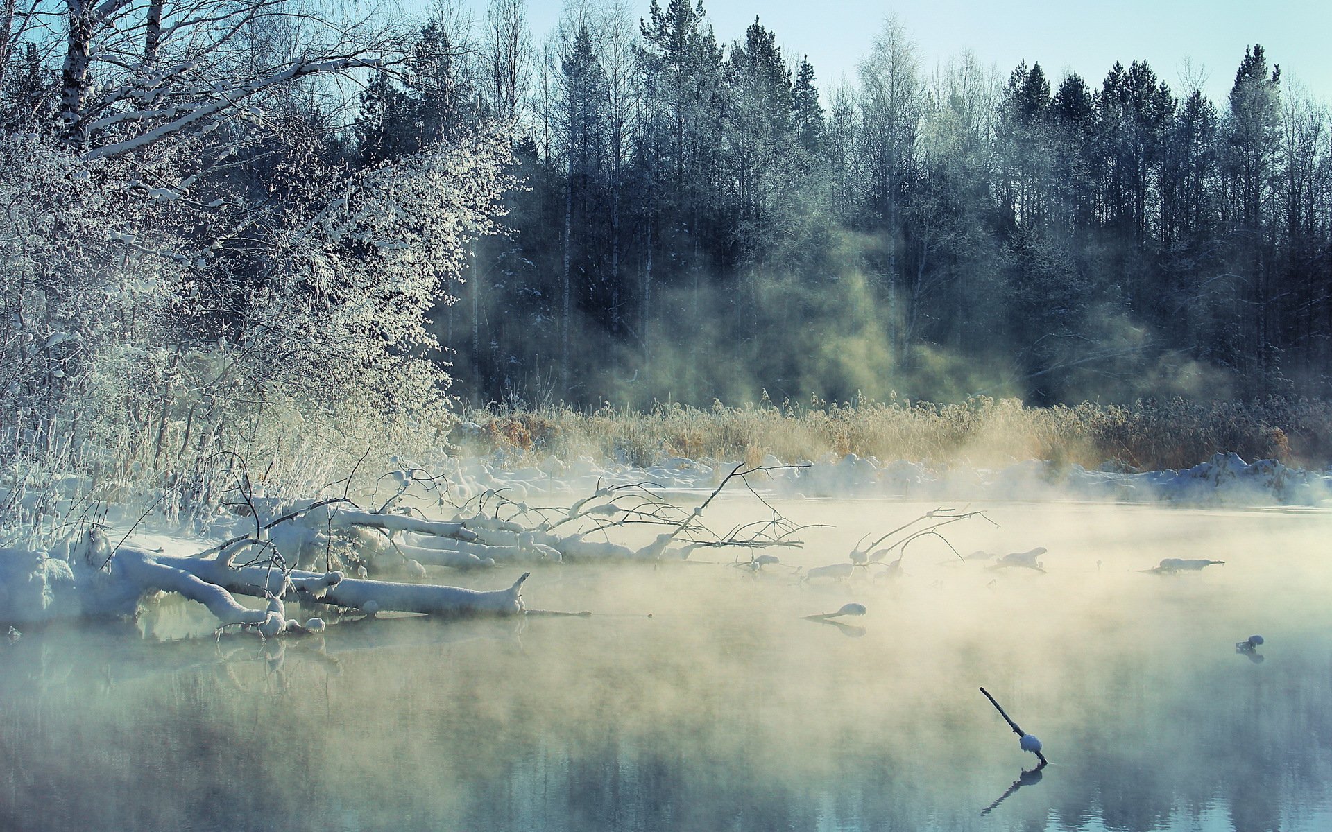 hiver rivière brouillard paysage