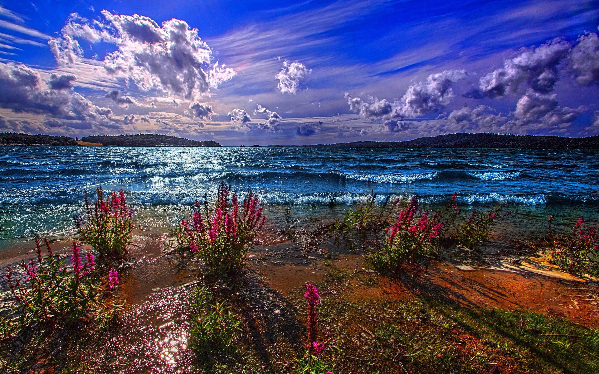 lake excitement mountain the distance horizon sky clouds beach flower