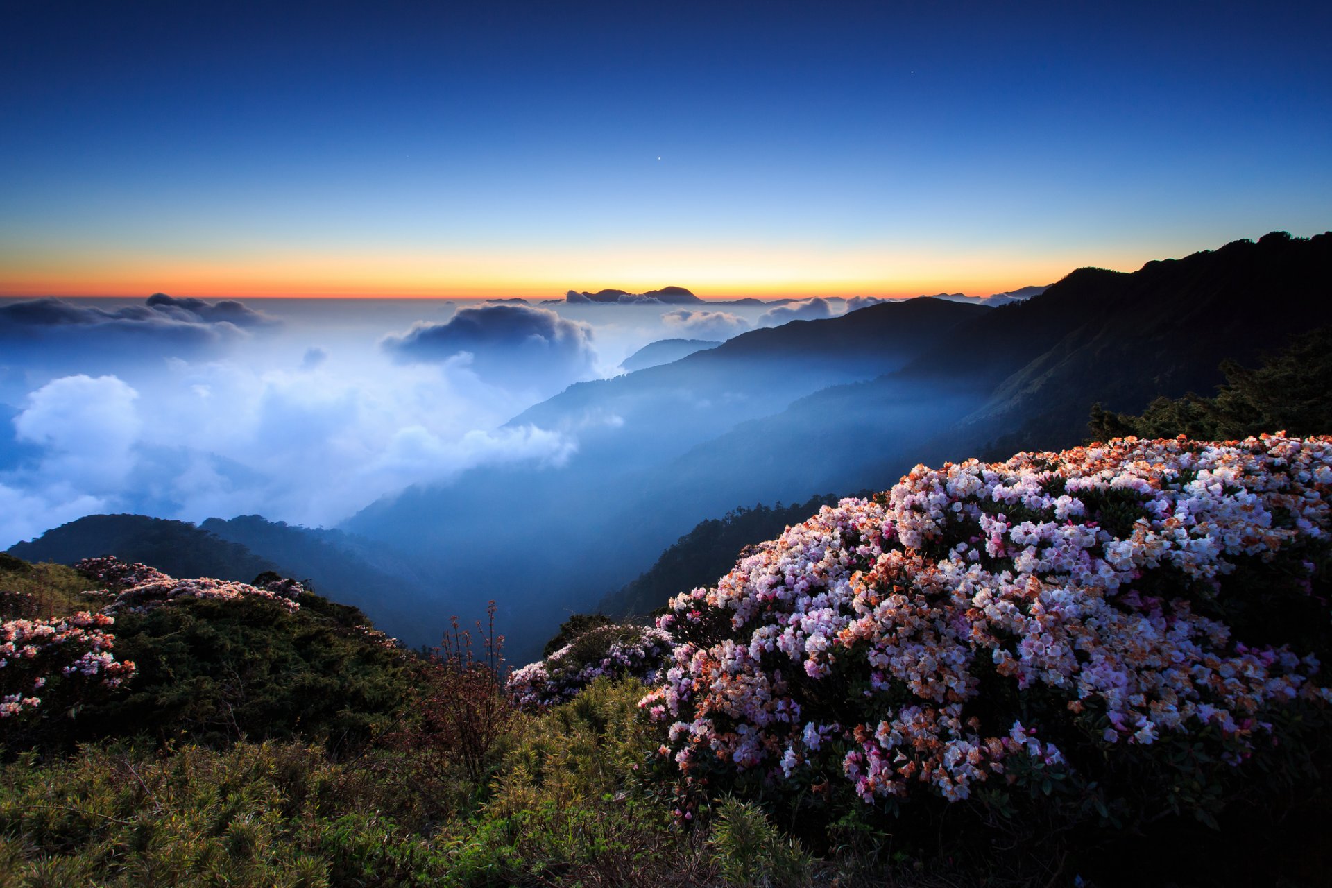 ciel nuit soir coucher de soleil matin brouillard nuages montagnes collines fleurs