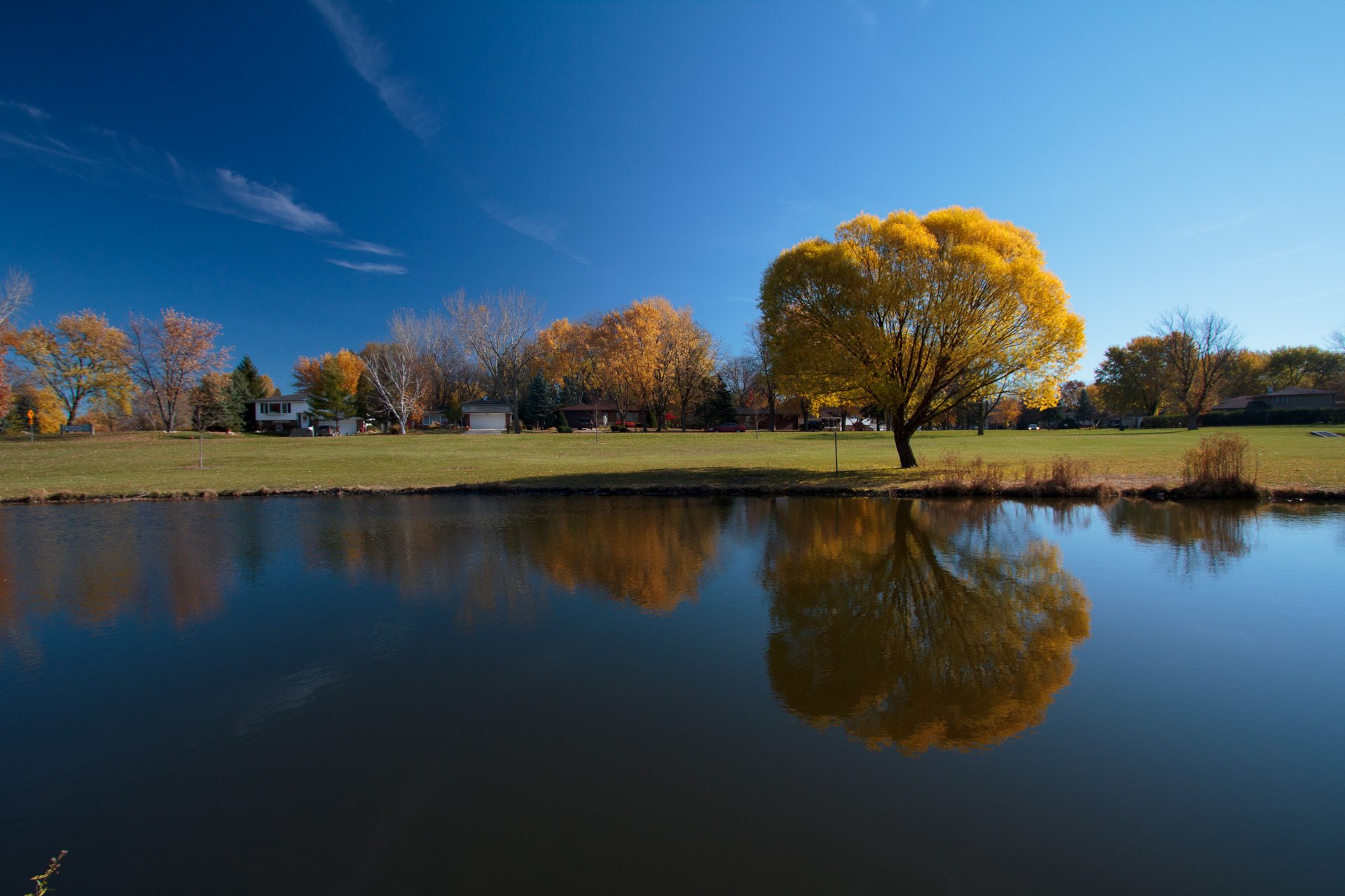 autumn tree river sky reflection