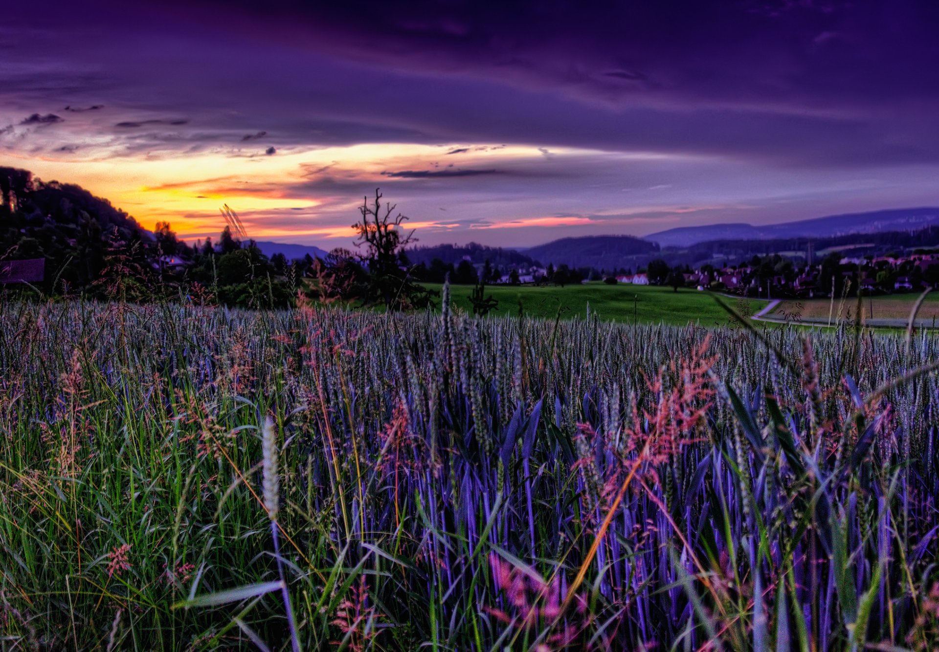 ky the field sunset