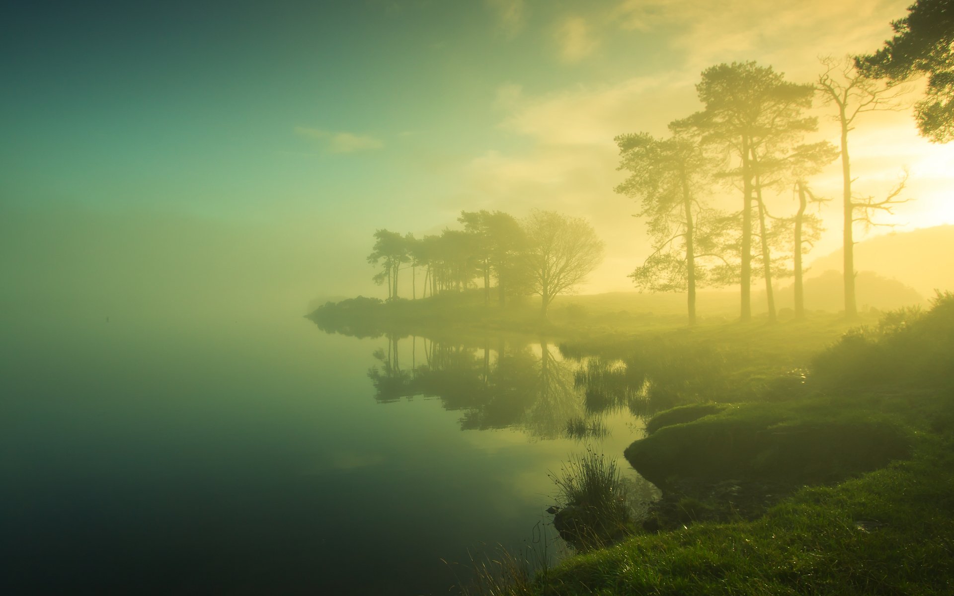 lake beach grass tree sun fog morning