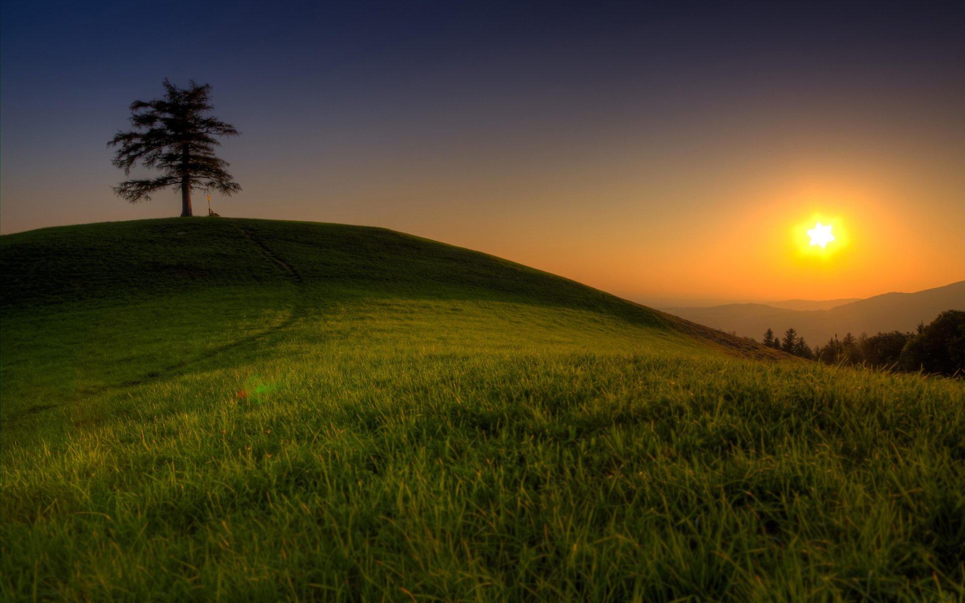 landscapes nature tree trees grass grass grass greenery hills mountains peaks valley sun sky light heaven beautiful places nature wallpaper landscapes widescreen wallpaper widescreen wallpaper