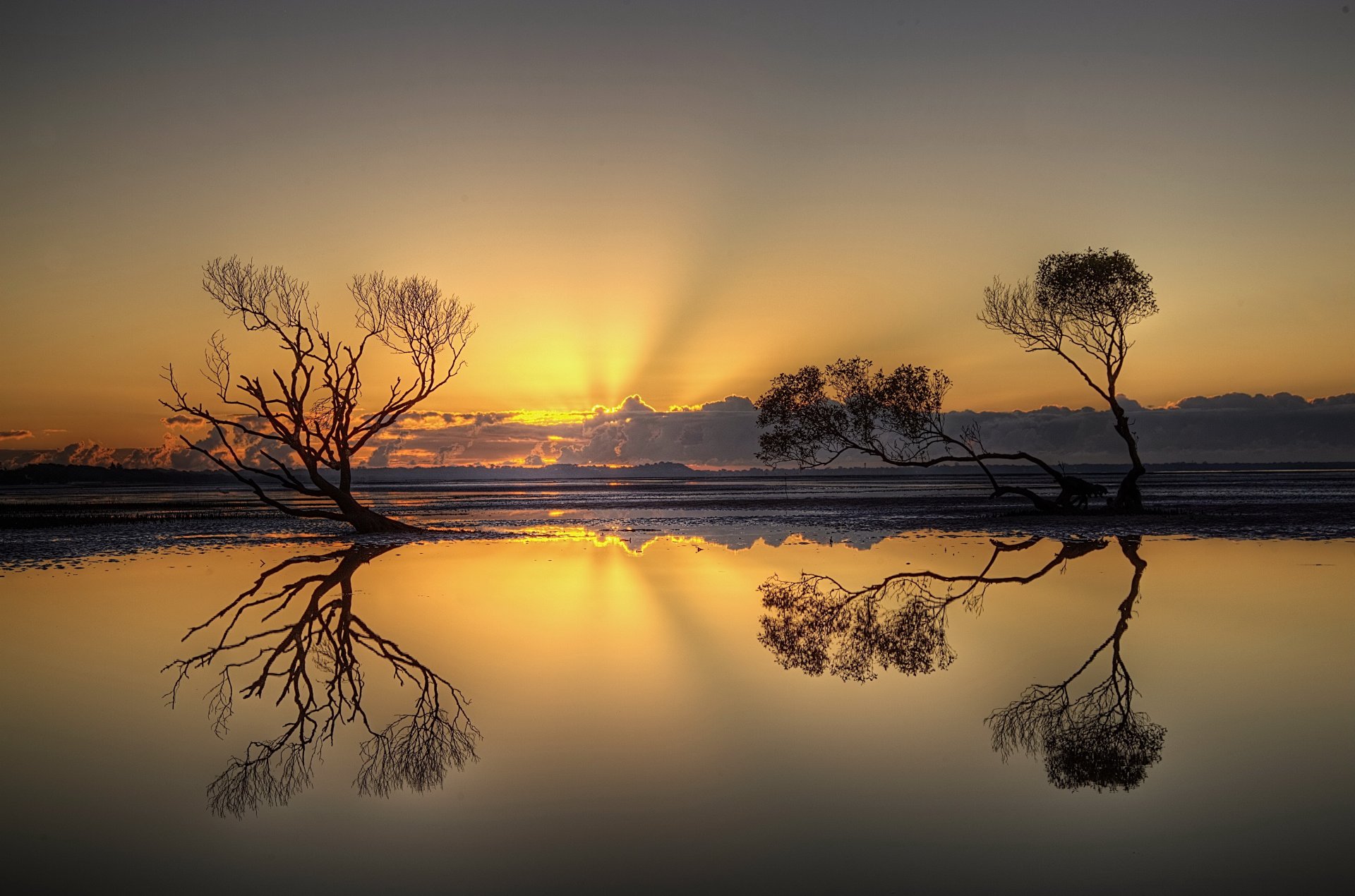 puesta de sol cielo árboles paisaje