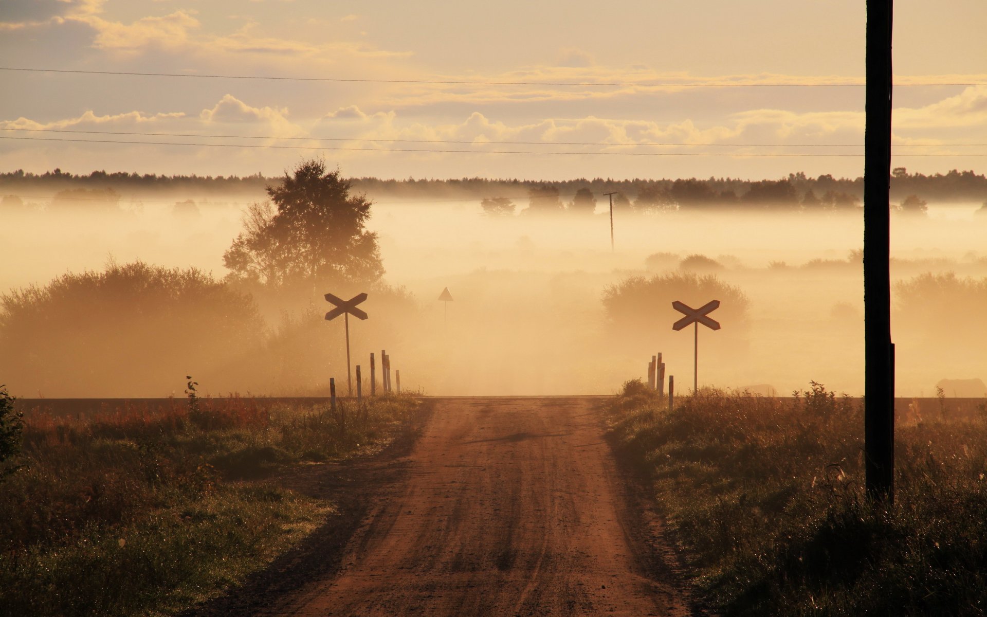 straße umzug nebel feld