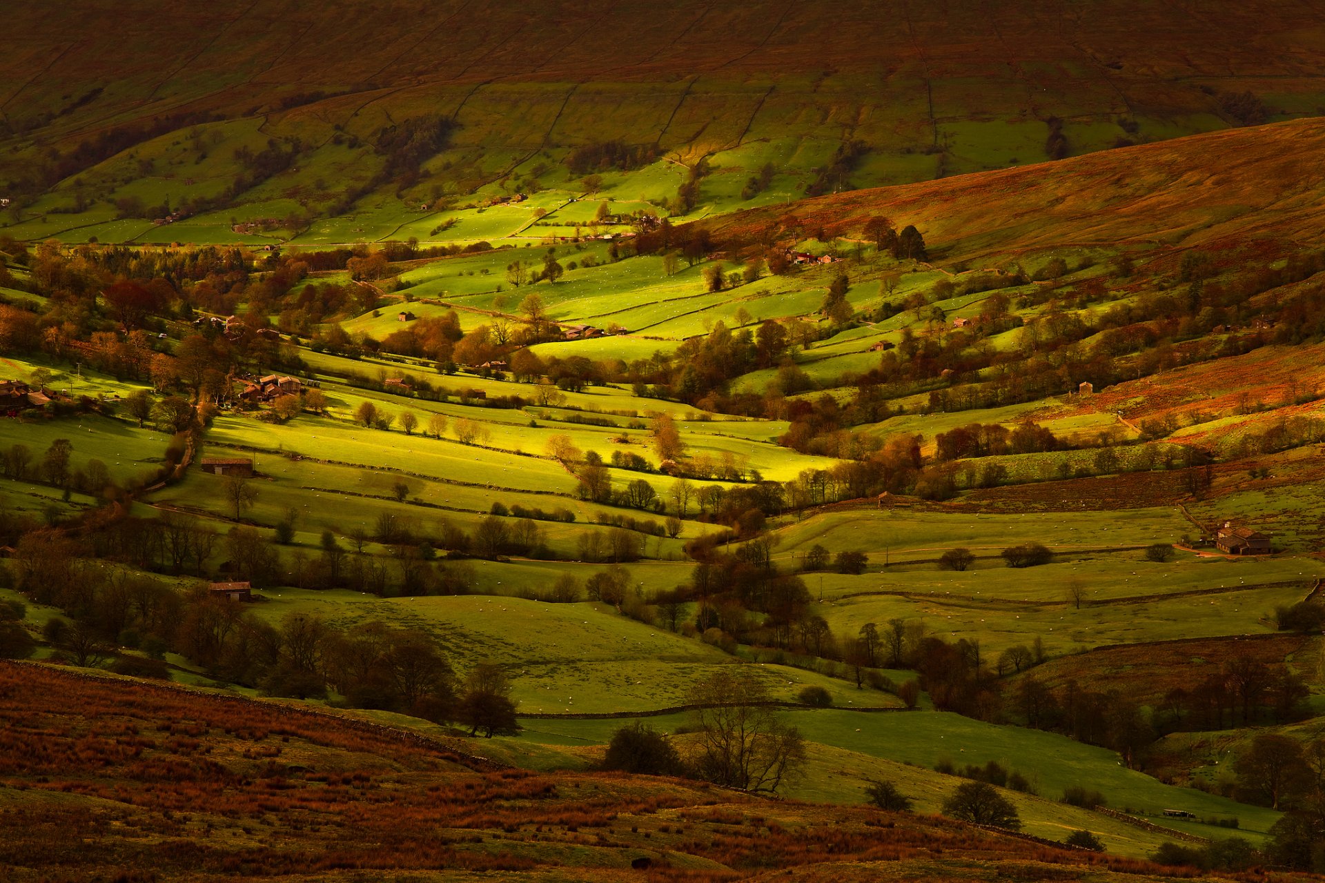 angleterre yorkshire champs lumière