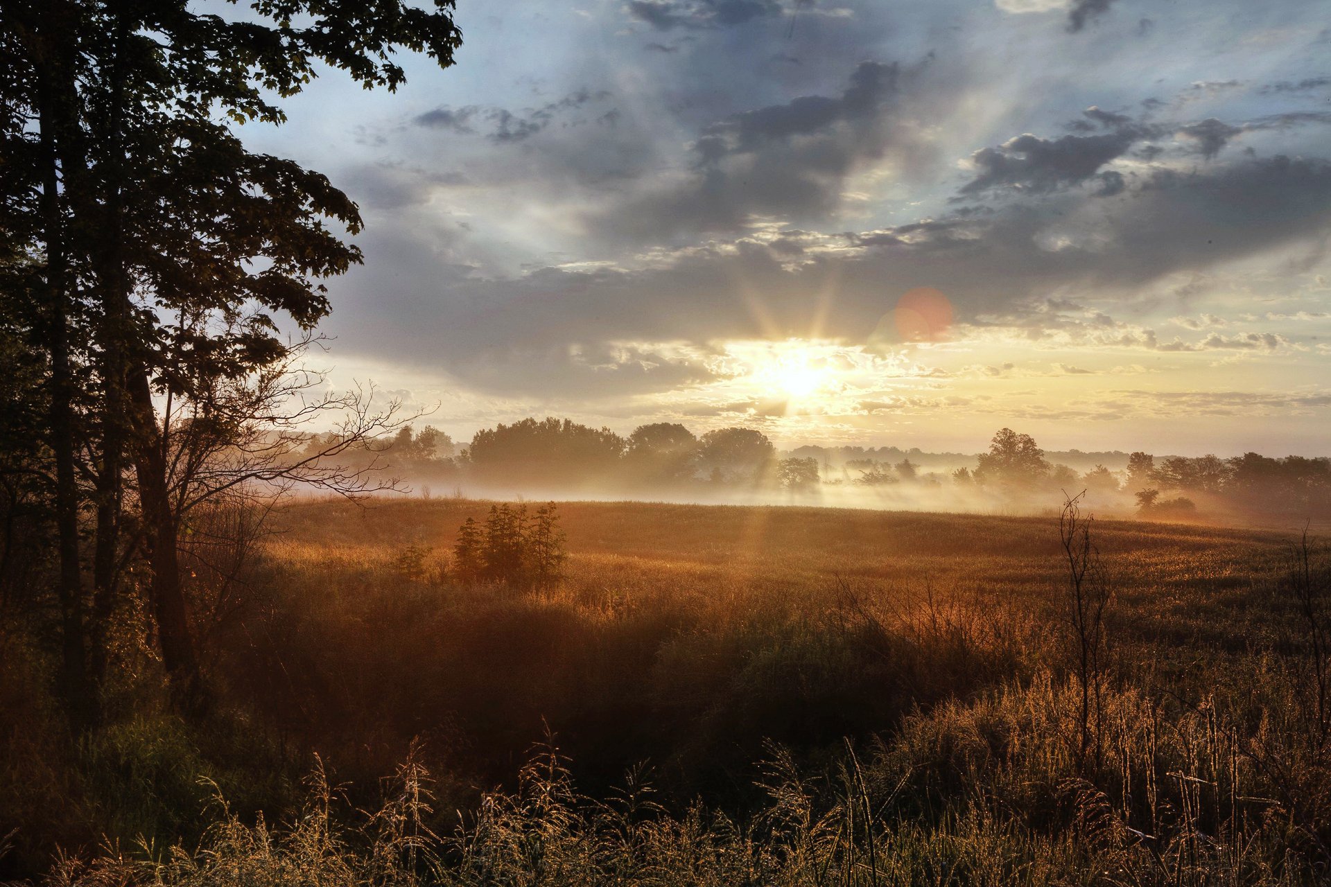 campo mattina sole erba luce