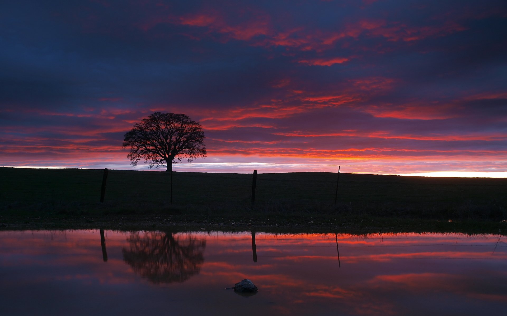 soir ciel lac eau coucher de soleil arbre