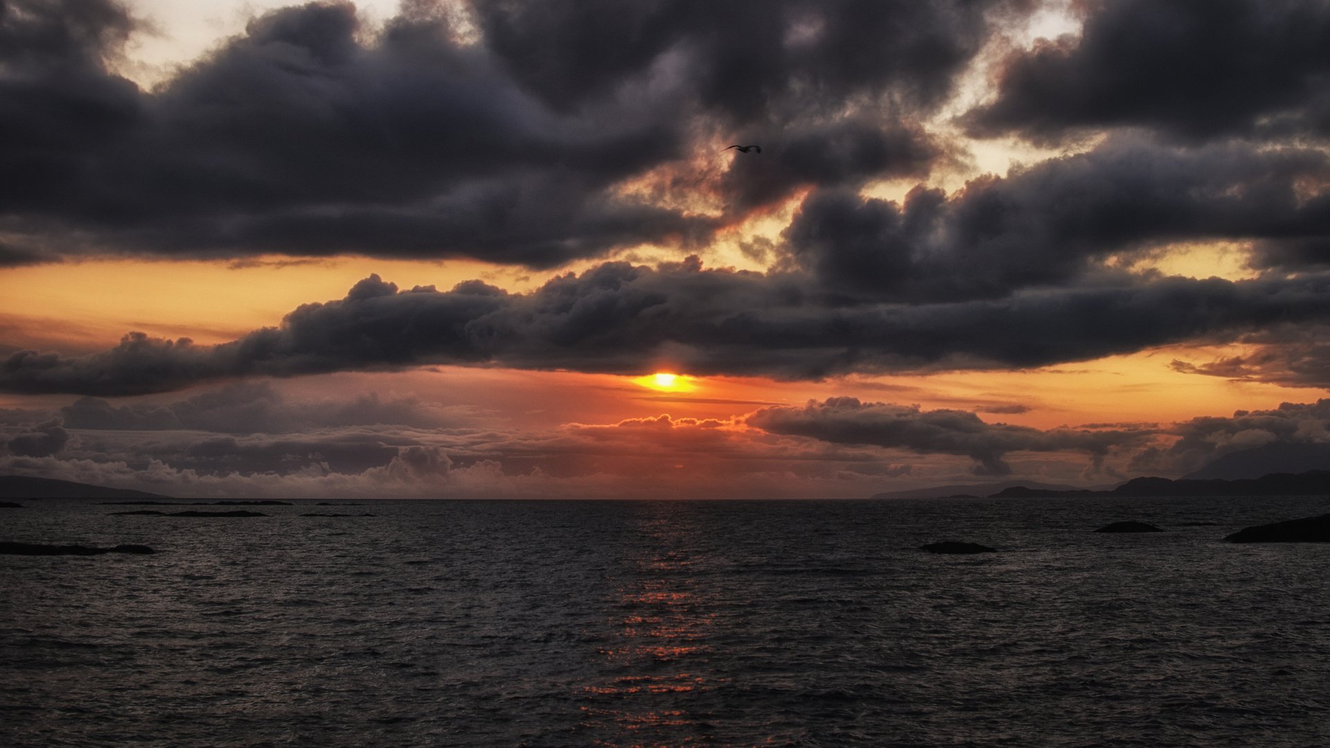 soir ciel nuages soleil orange coucher de soleil oiseau vol mer océan baie