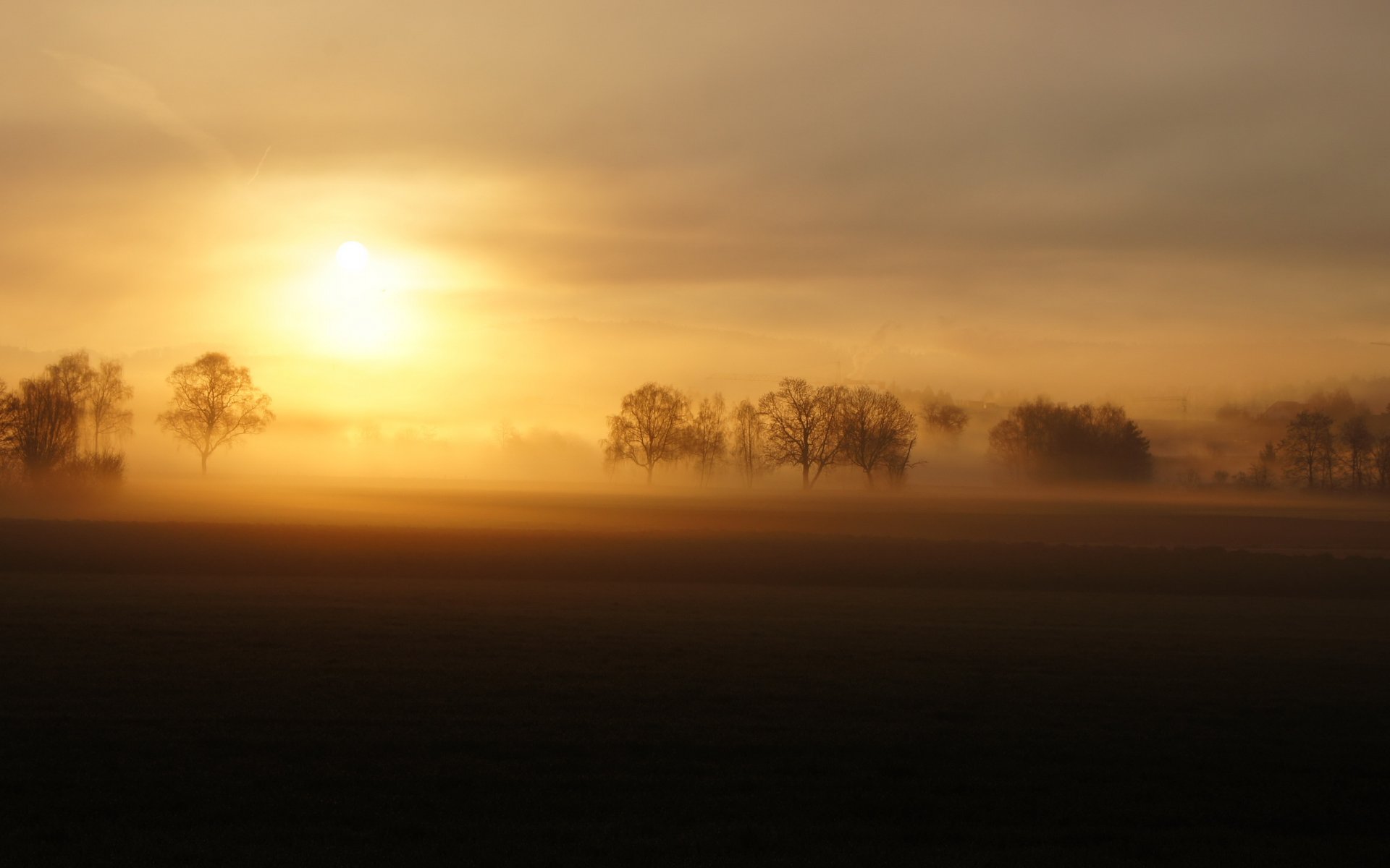 champ brouillard coucher de soleil paysage