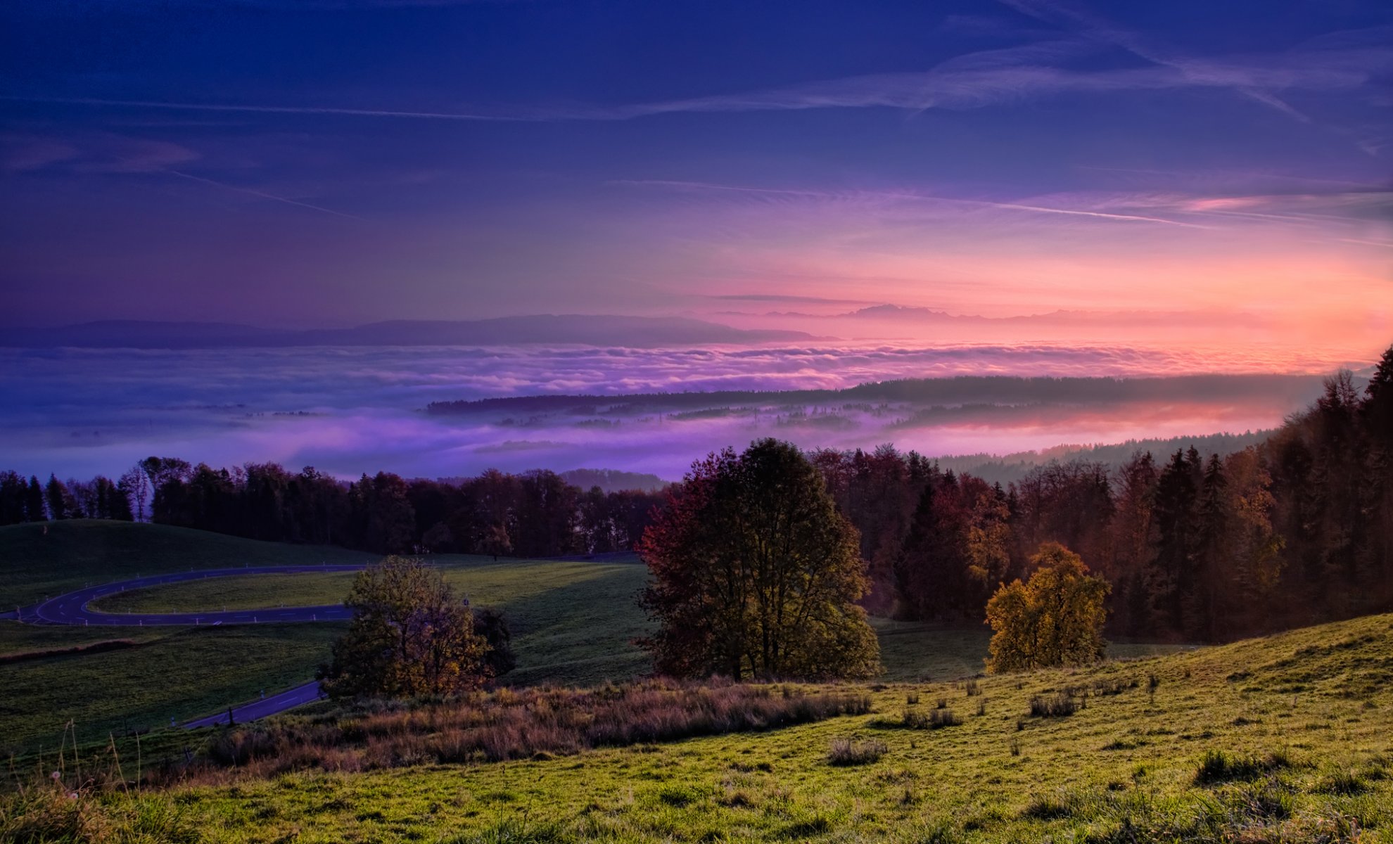 vallée forêt ciel brouillard