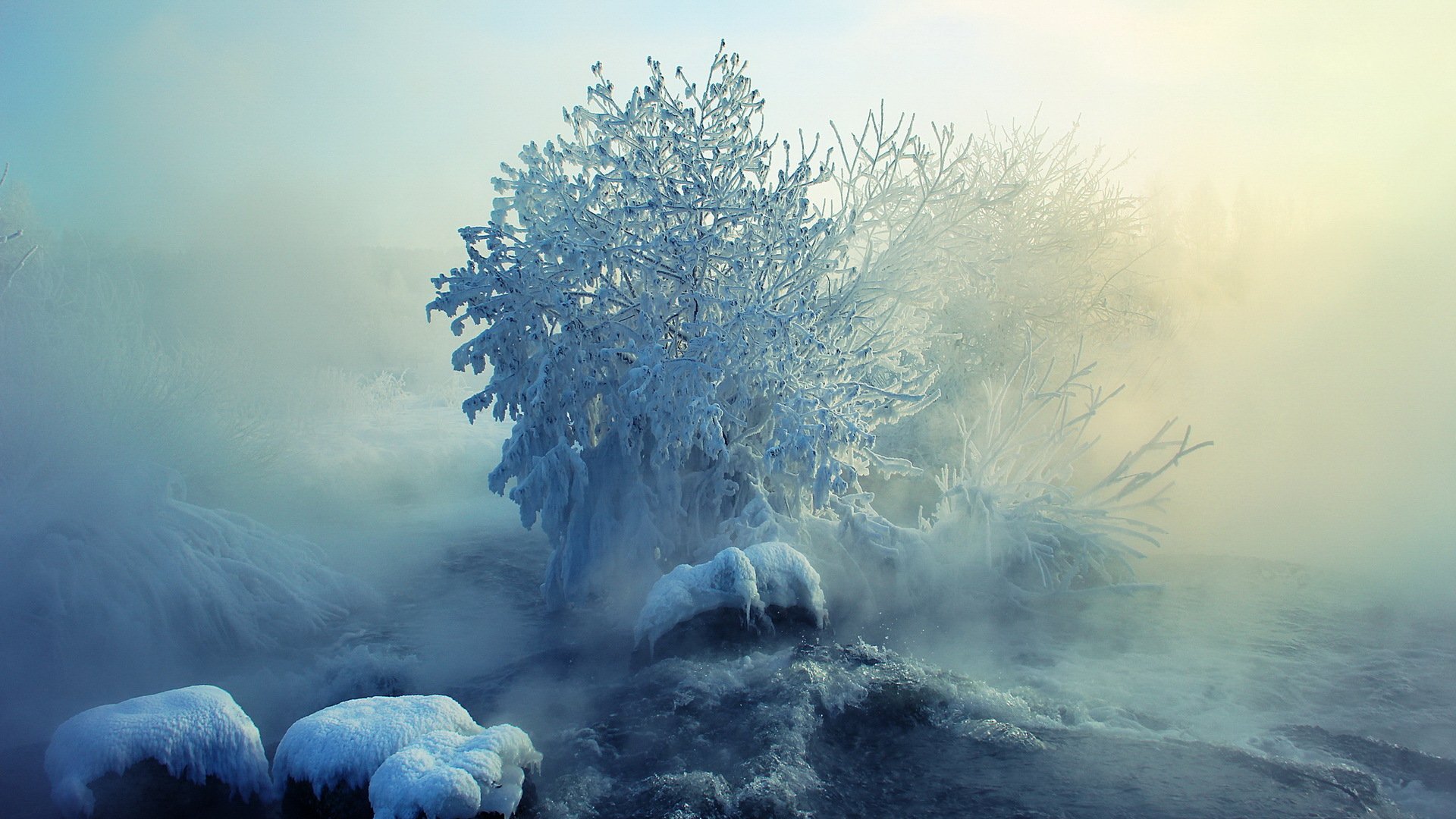 winter nebel schnee landschaft natur