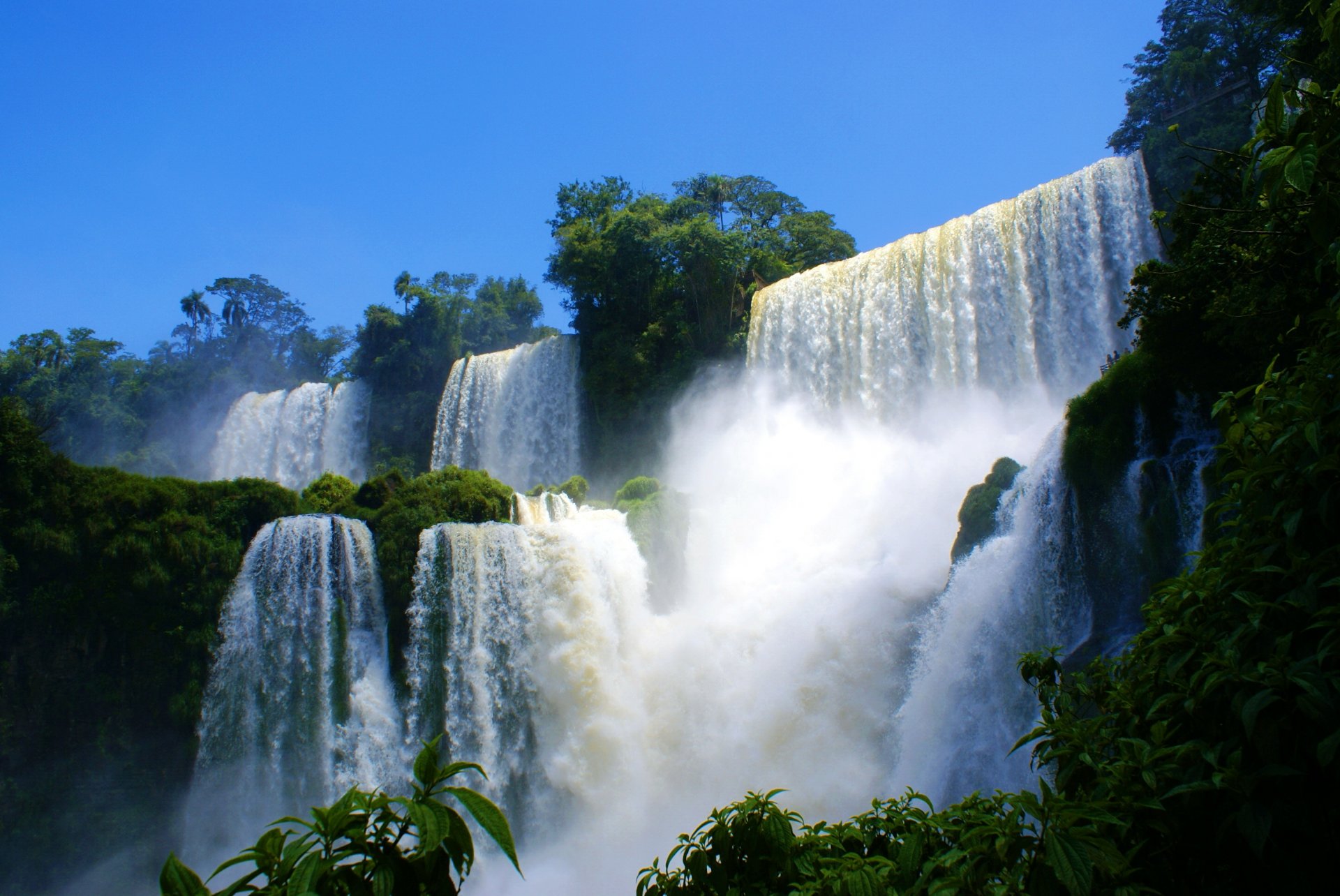 cascata cascate rapide rocce scogliera foresta