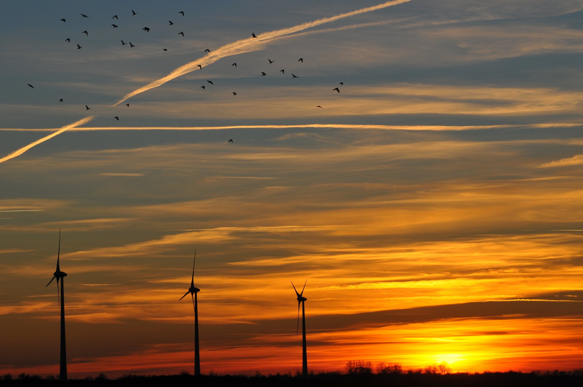 abend orange sonnenuntergang sonne windräder himmel wolken vögel