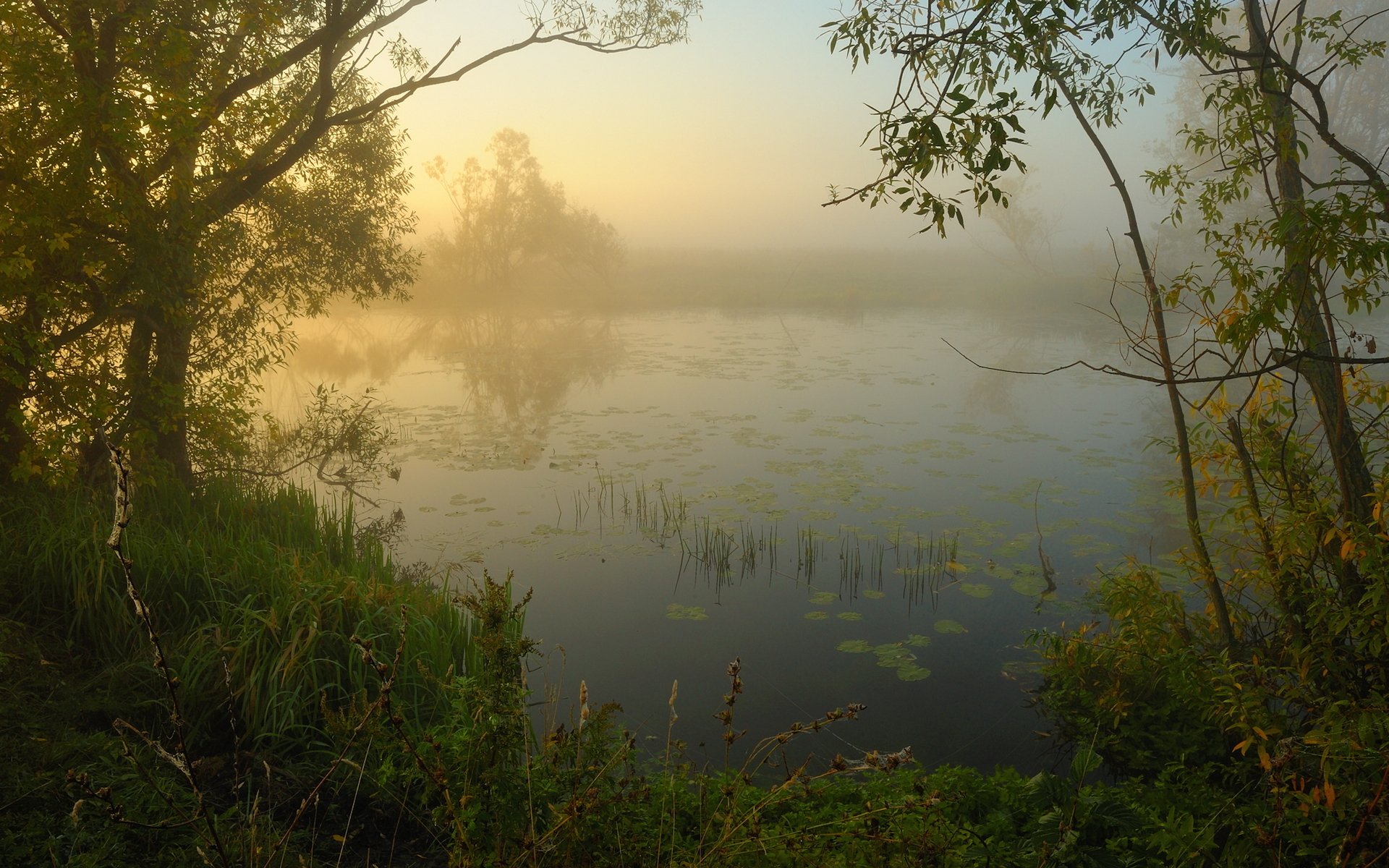 morning river fog nature