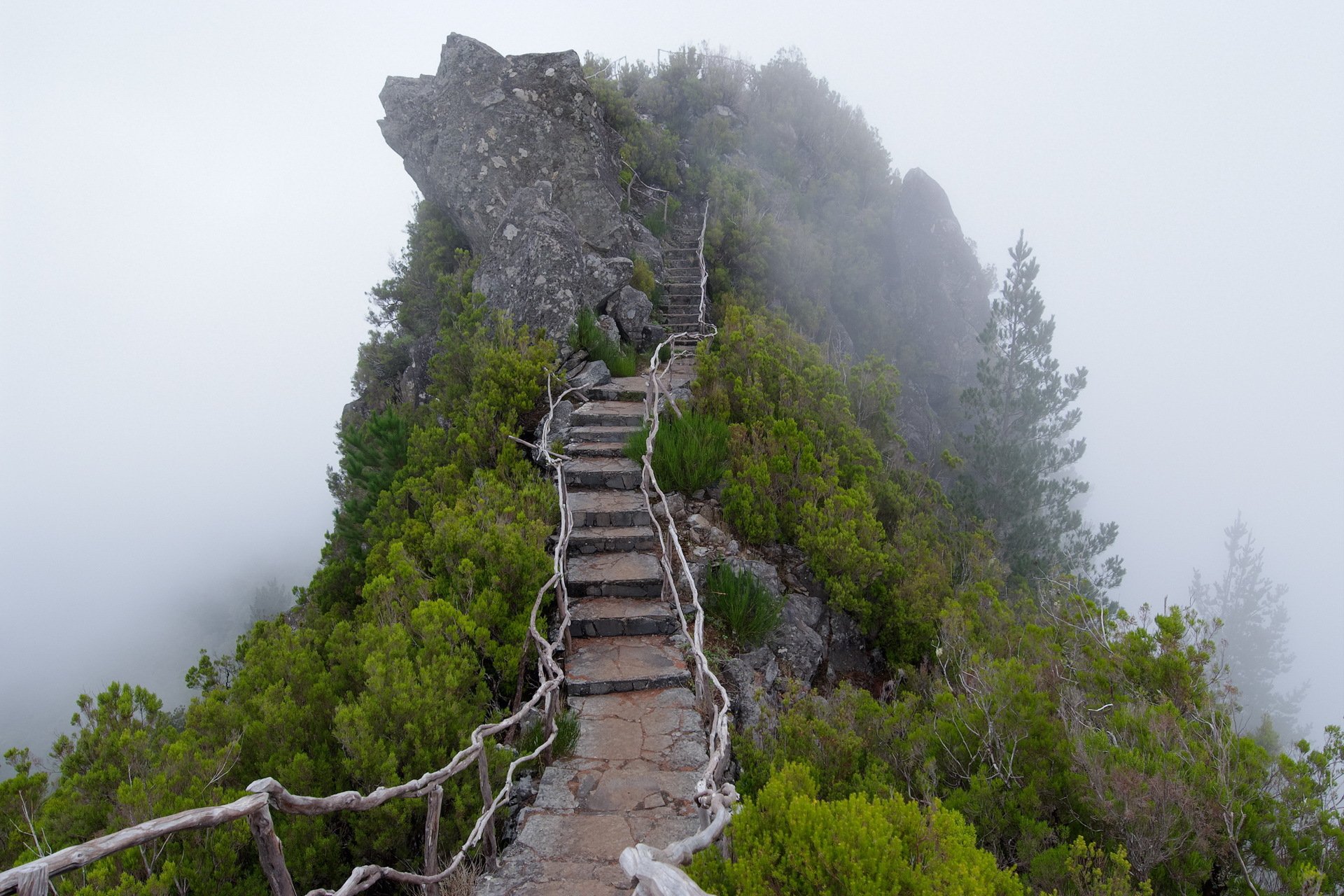 berg nebel treppe stufen