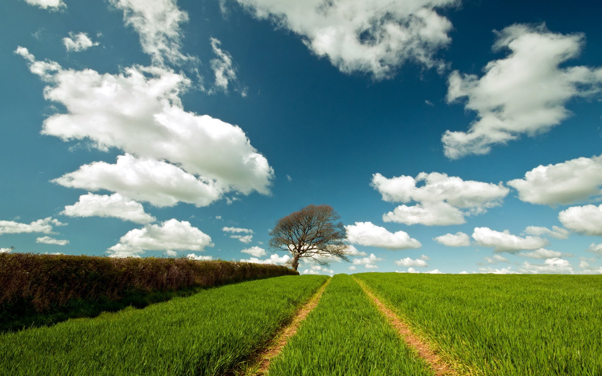 sommer feld straße landschaft