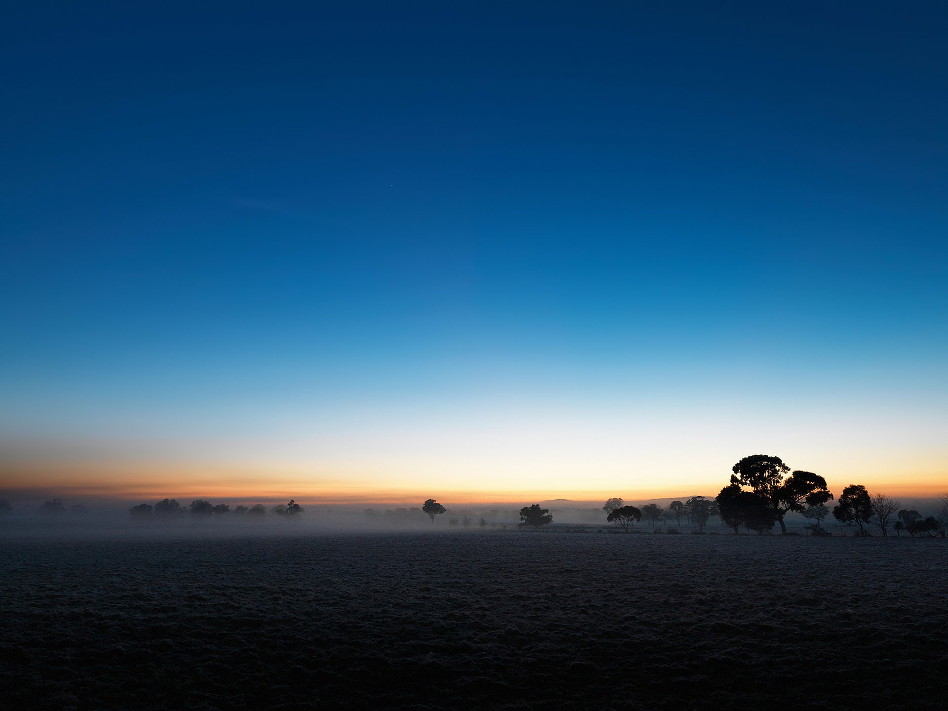 campo pianura cielo crepuscolo nebbia