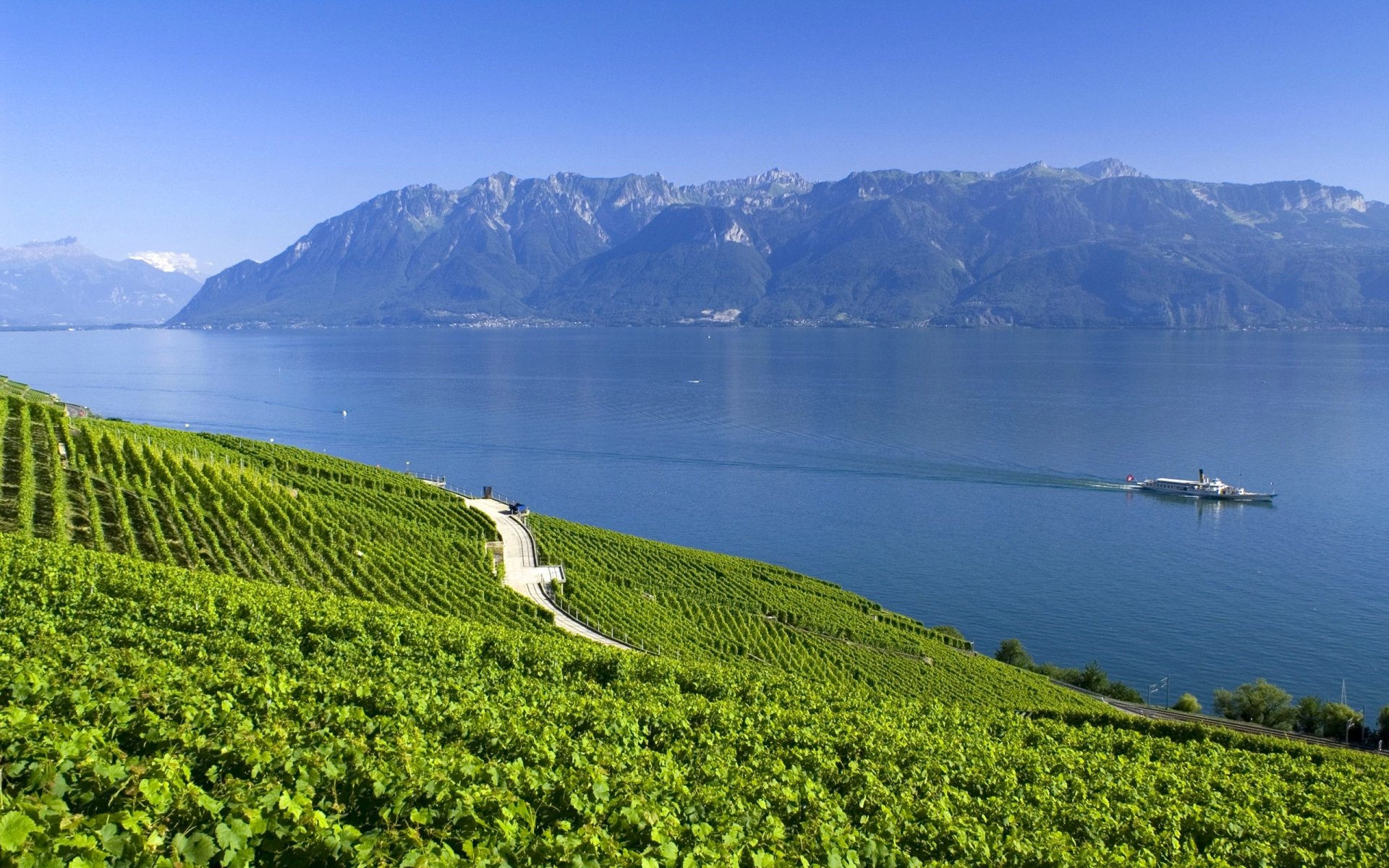 suiza alpes lago montañas verano