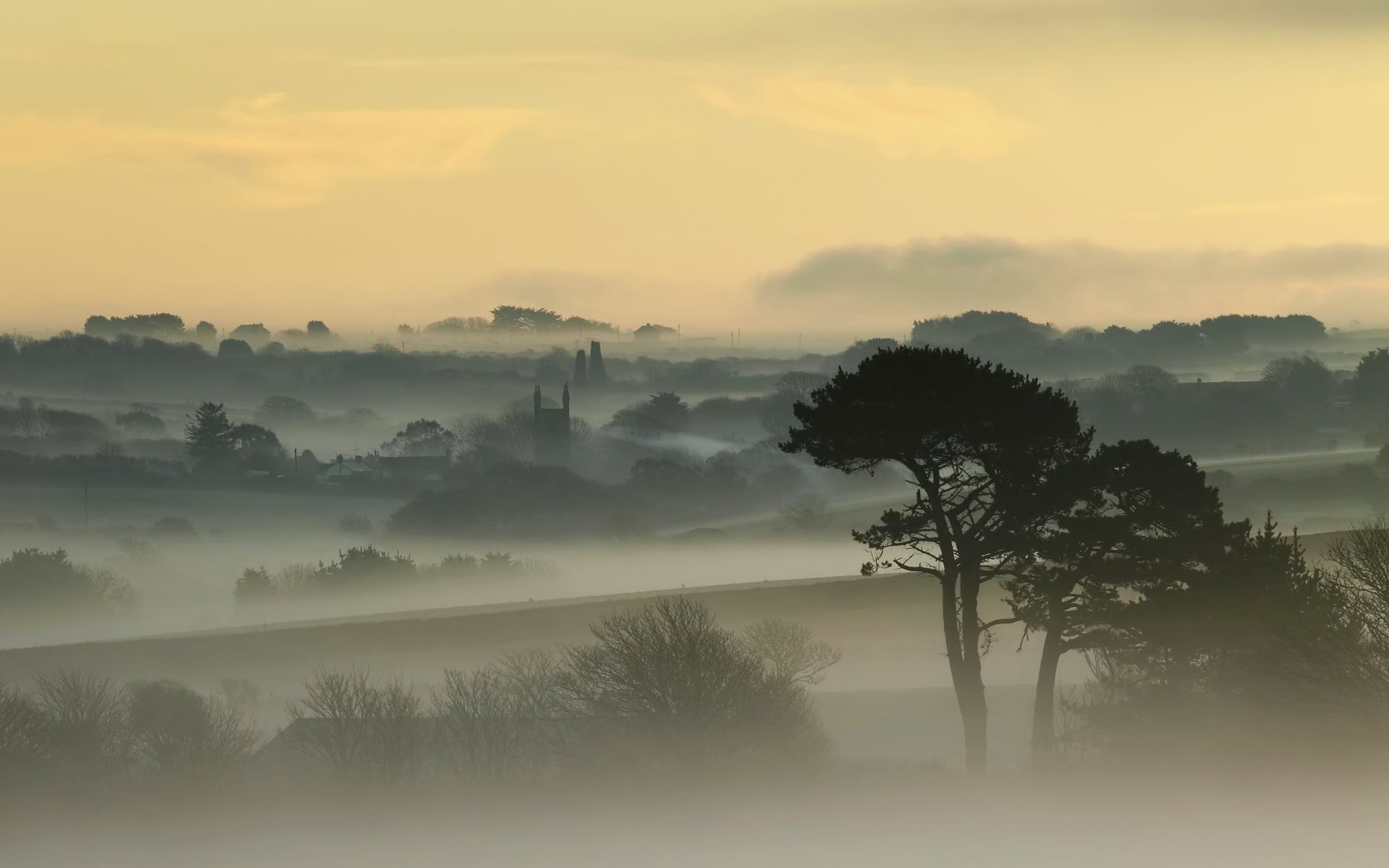 dawn fog tree house sky cornwall england