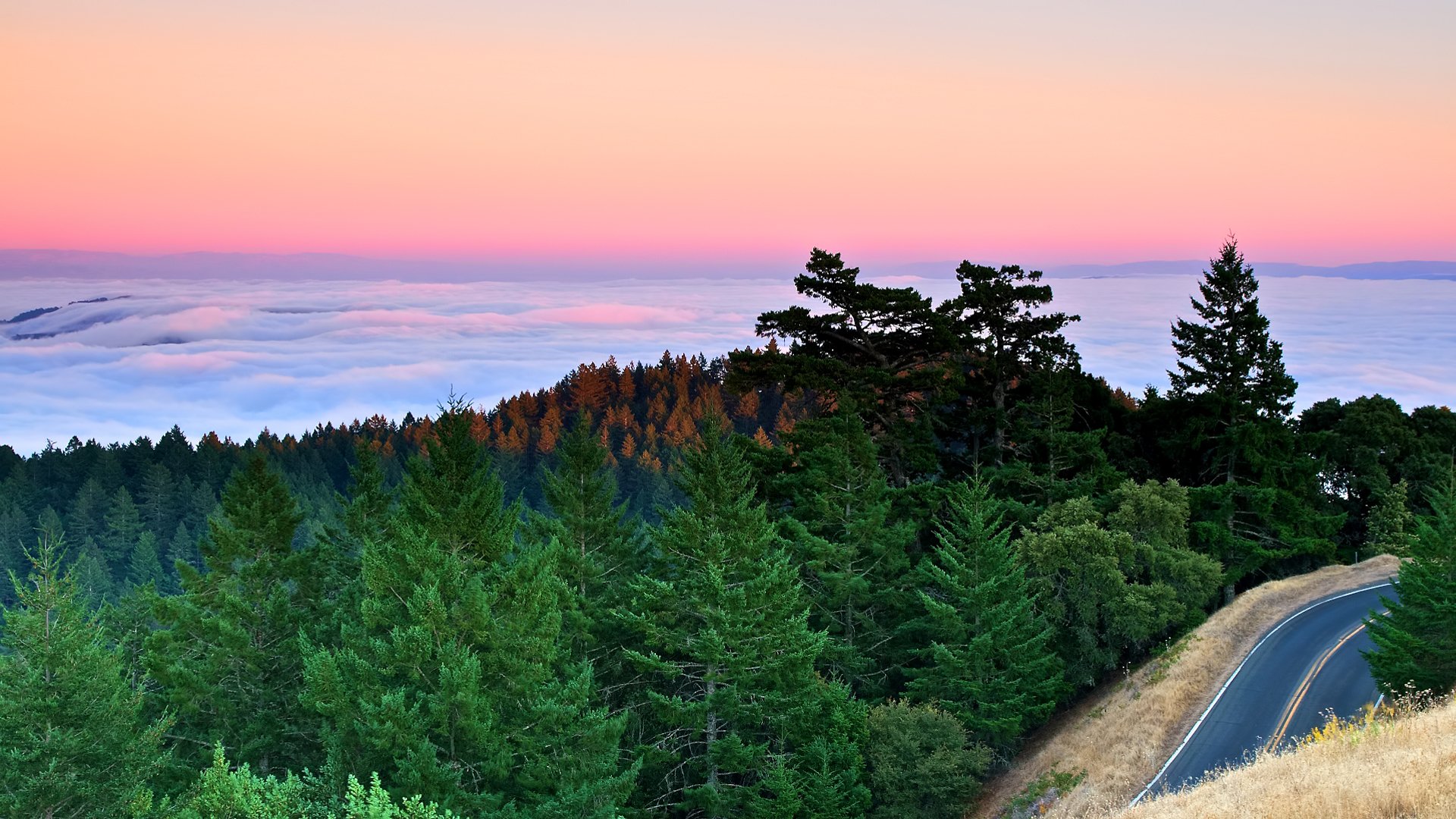 sonnenuntergang berge straße fichte kiefer wald bucht pazifik ozean wolken nebel kalifornien