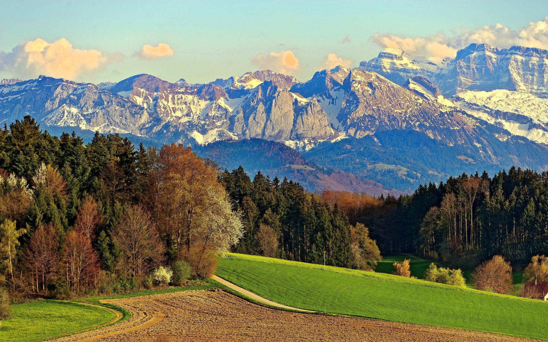 berge wald bäume wiese feld wolken himmel schnee felsen straße