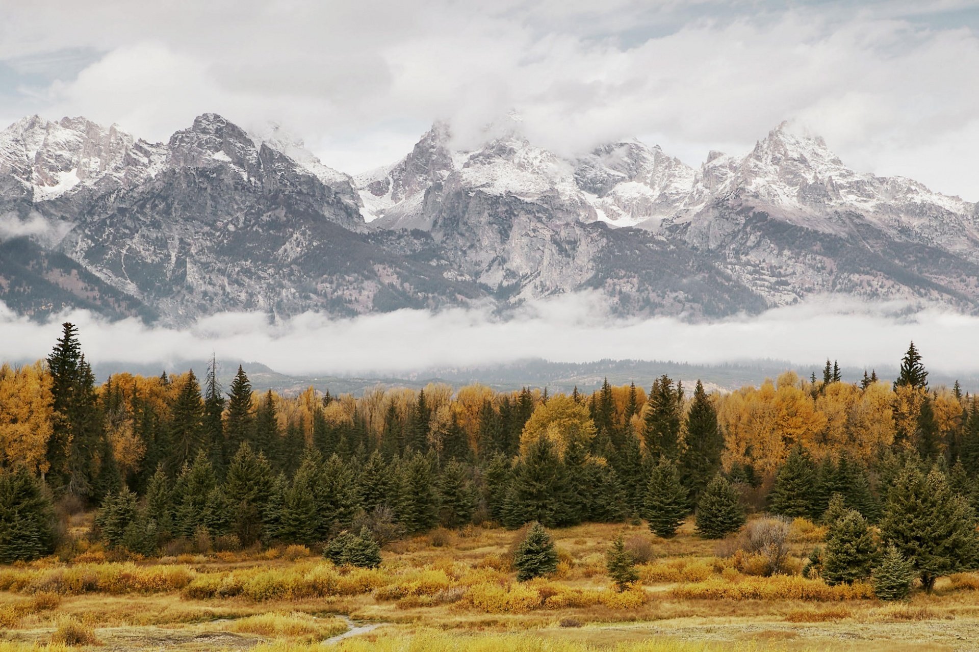 mountain grey sky clouds fog forest tree autumn