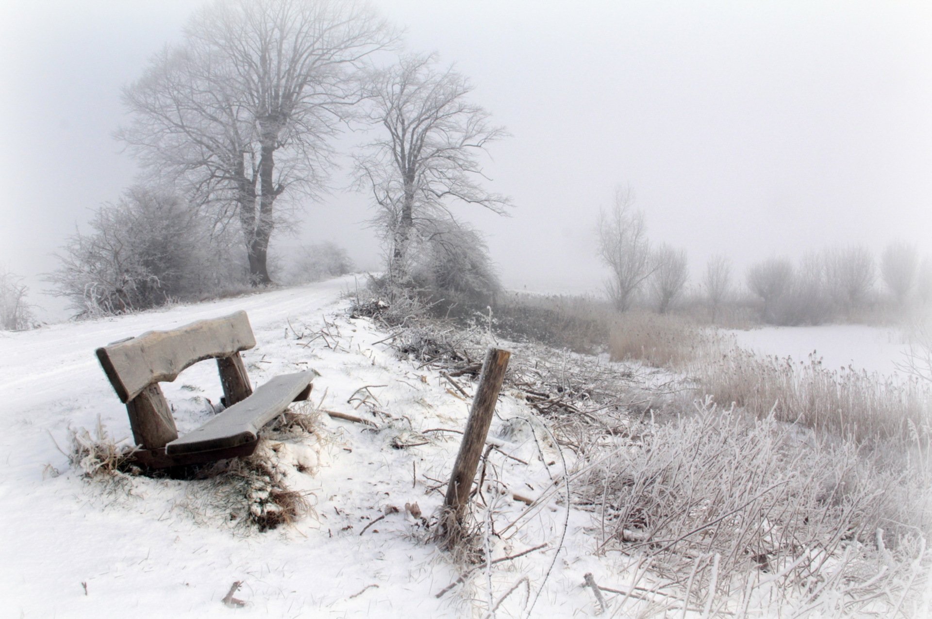 winter snow fog bench