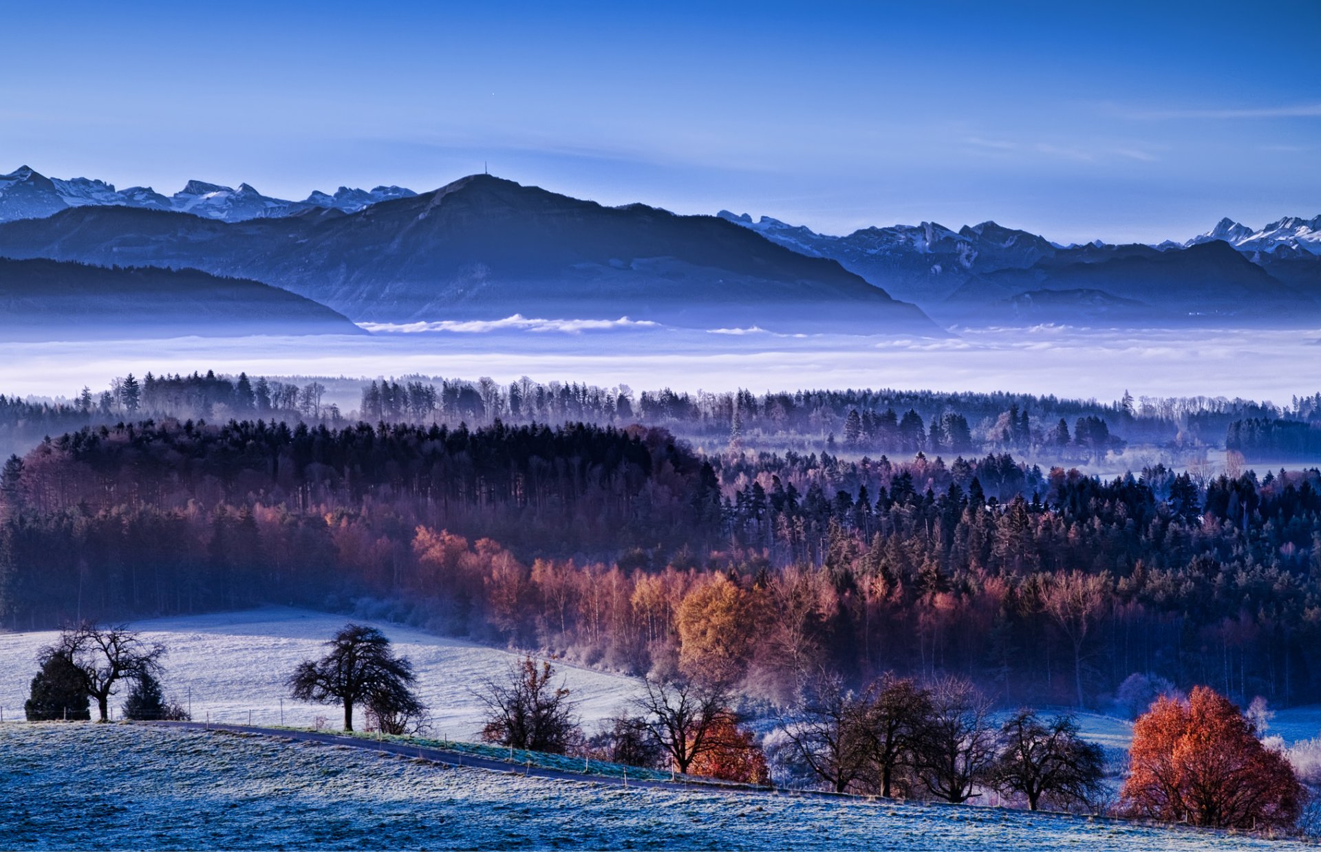 matin brouillard vallée neige automne hiver