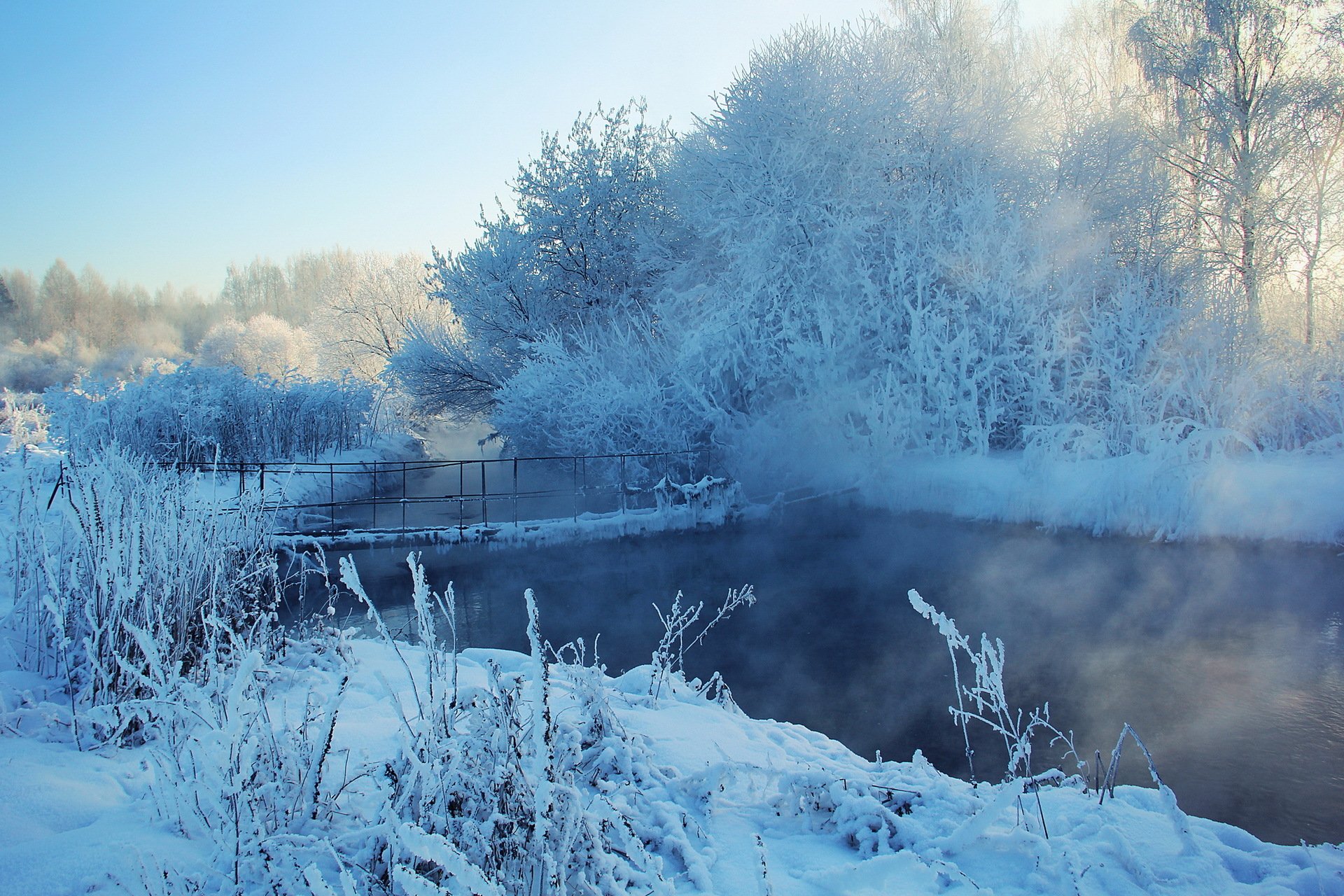 inverno fiume ponte neve alberi