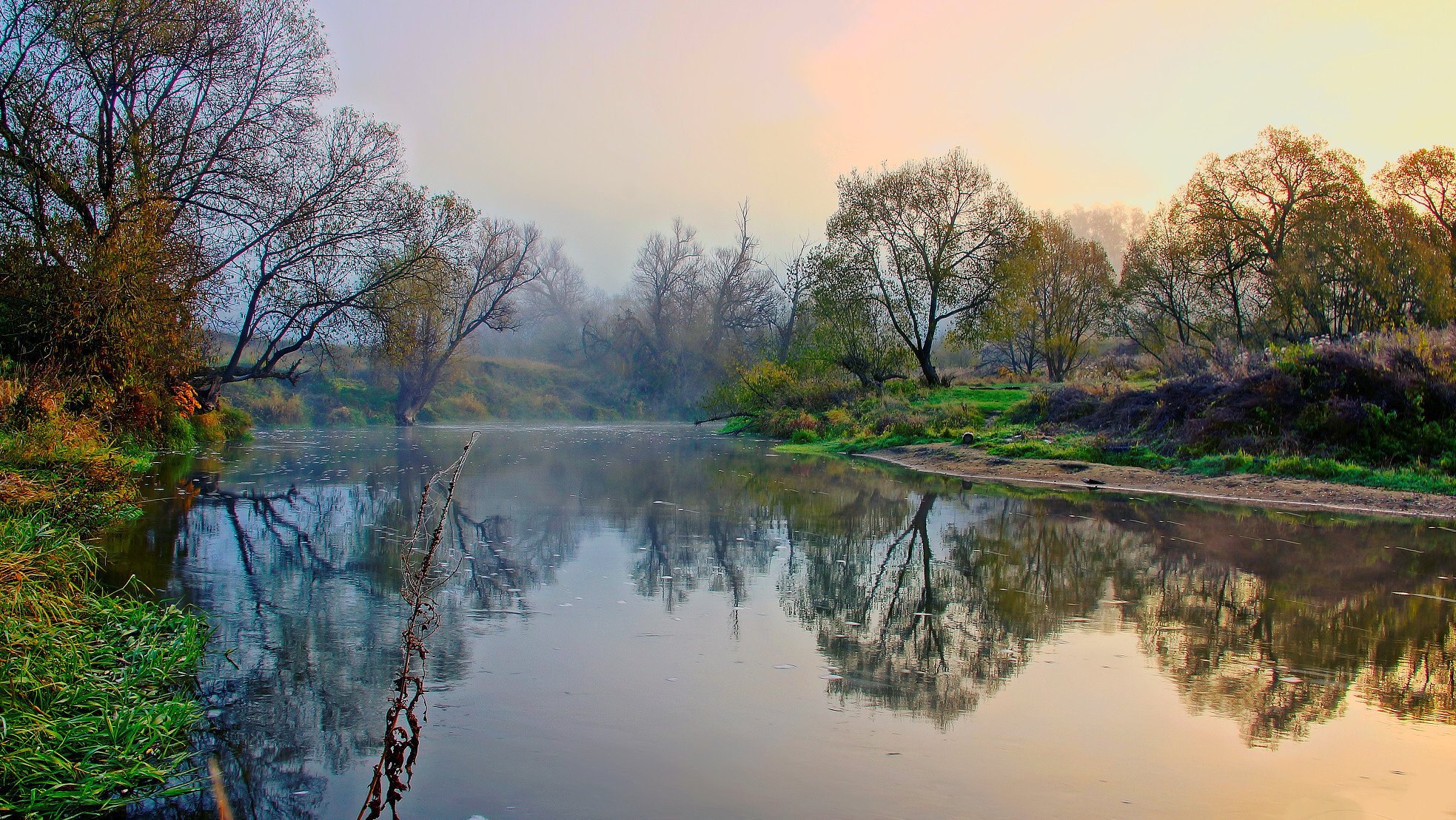 river autumn tree shore fog