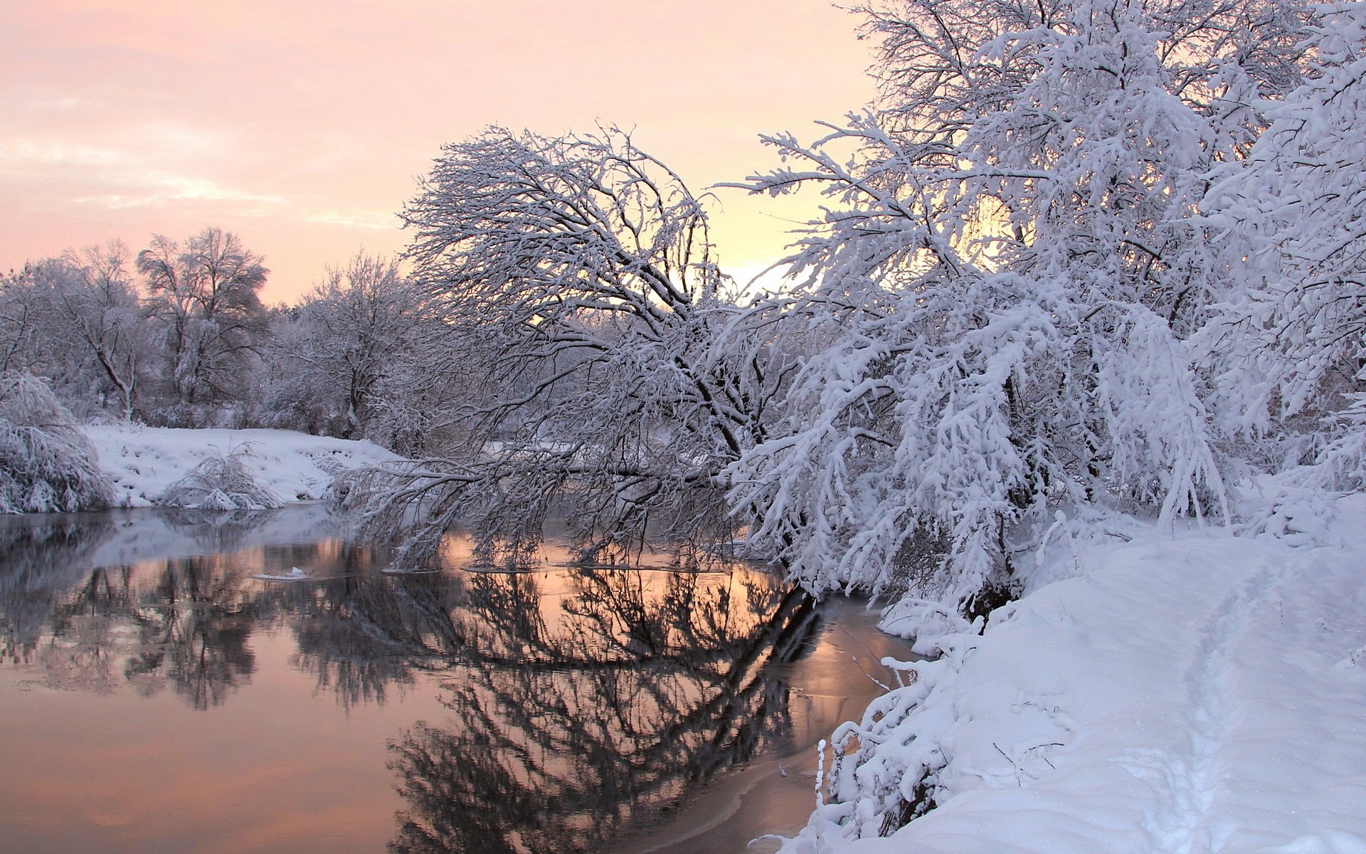 hiver rivière arbres neige