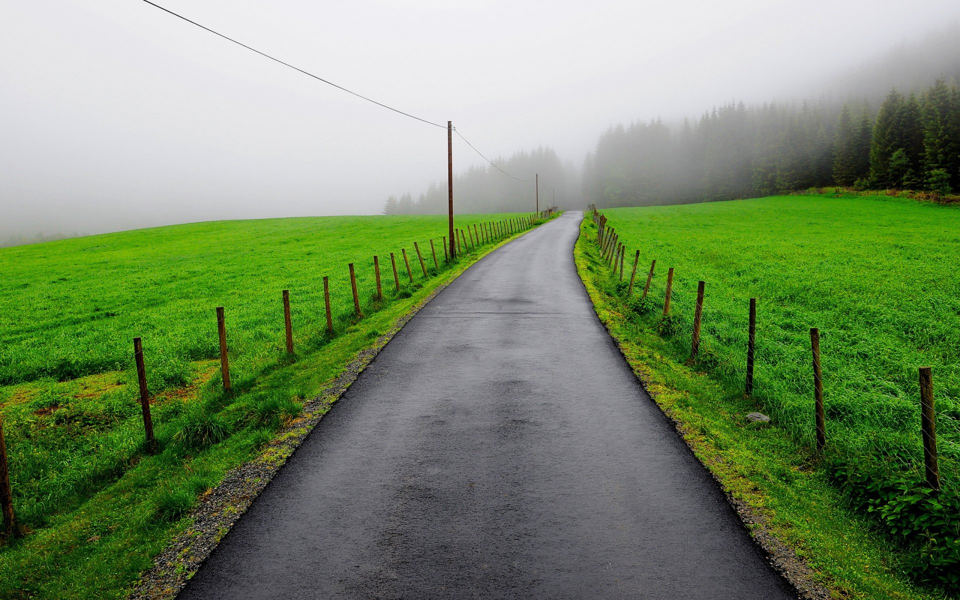 route clôture champ brouillard