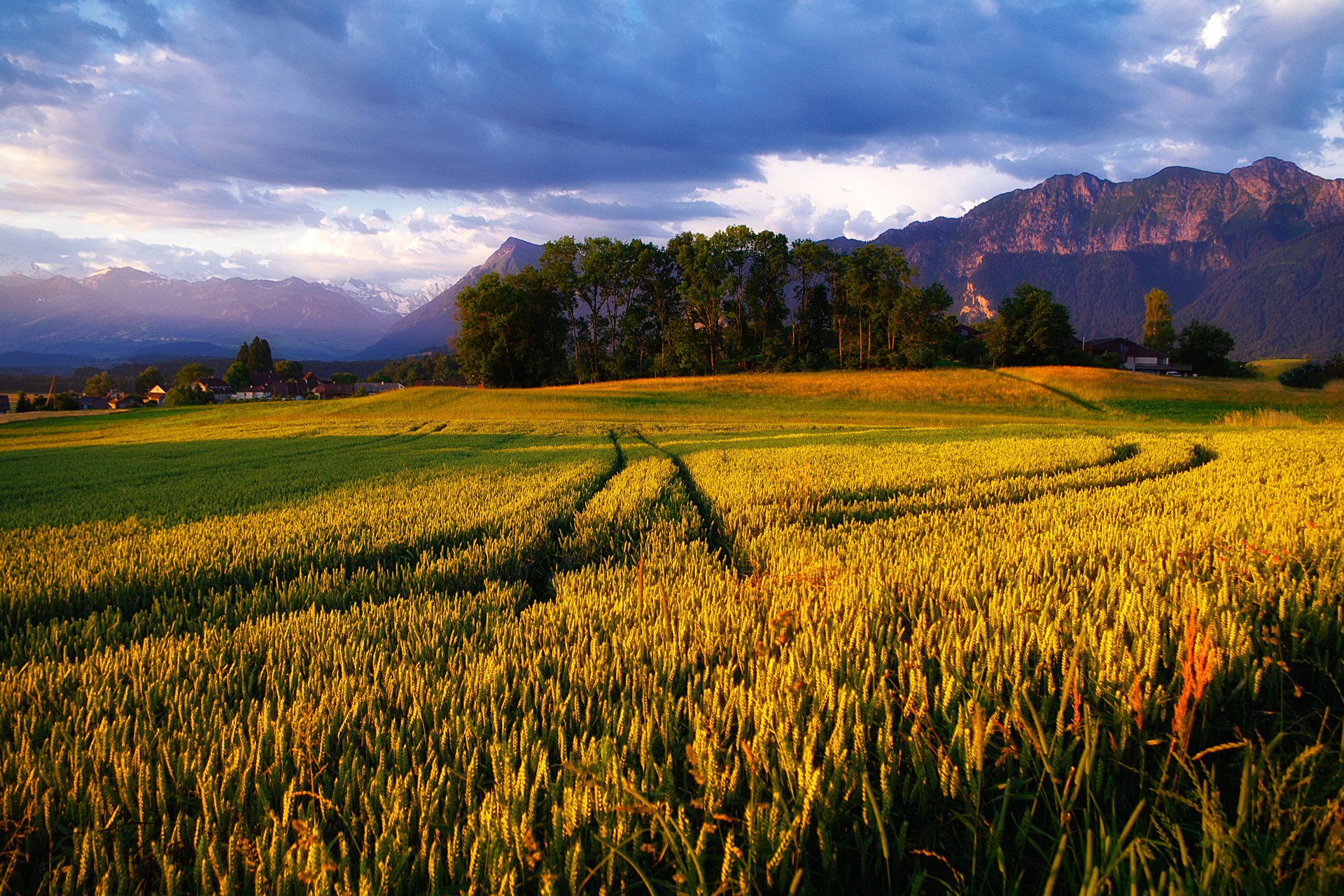 berge alpen feld himmel