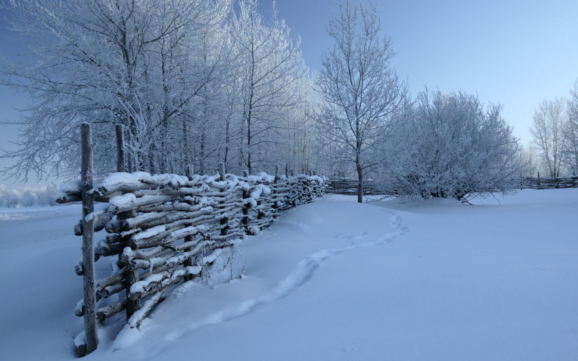 winter schnee zaun natur