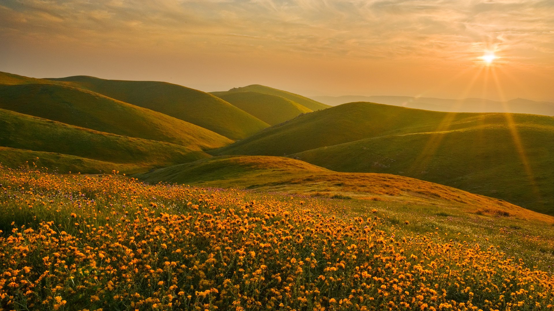 sierra nevada kalifornien landschaft hügel blumen sonne sonnenuntergang