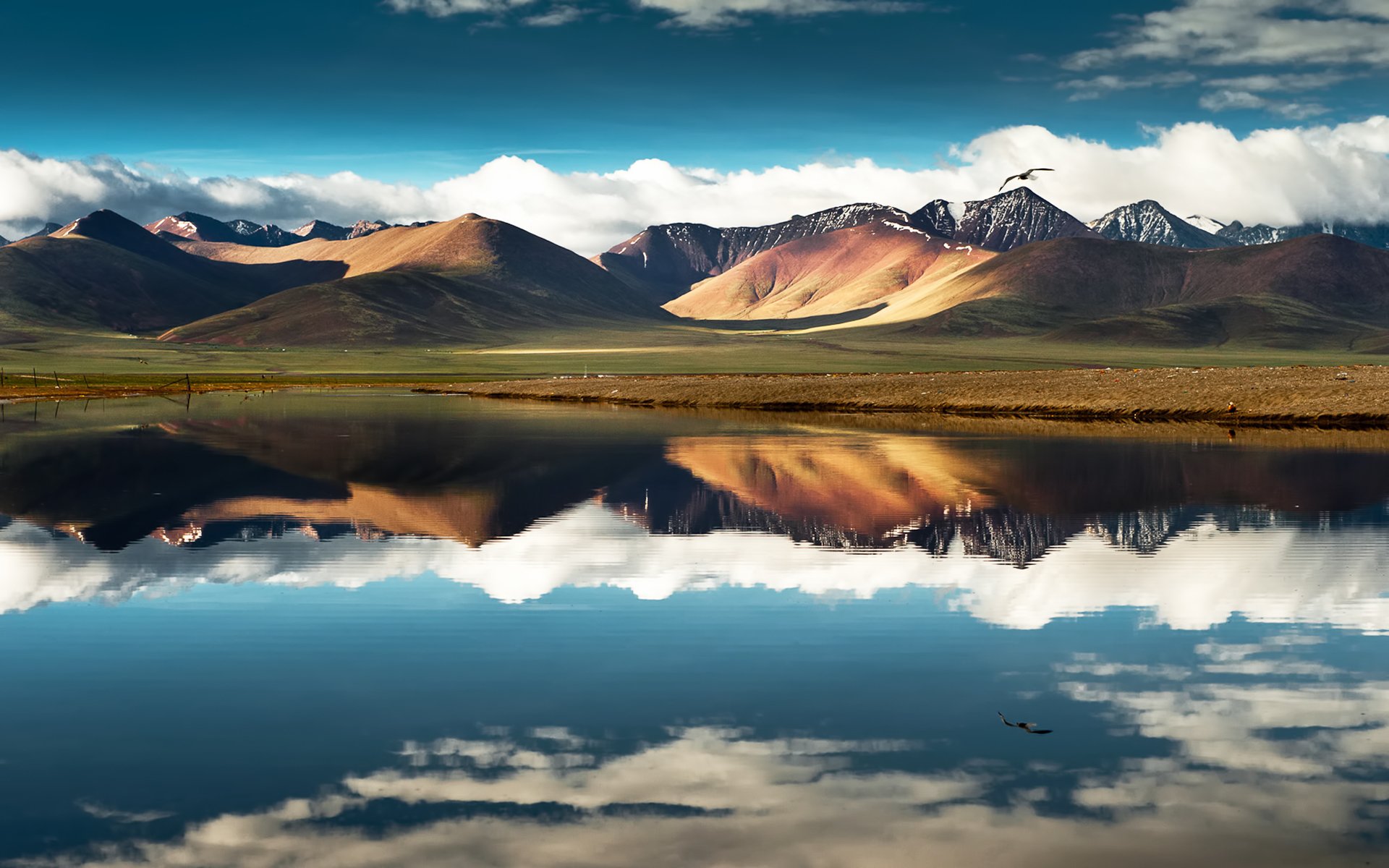 chine tibet montagnes lac ciel nuages réflexion oiseau vol