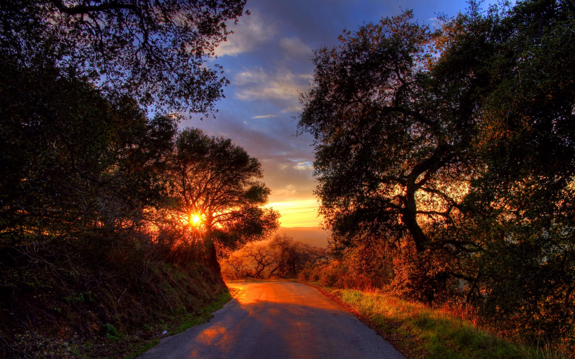 route arbres coucher de soleil paysage