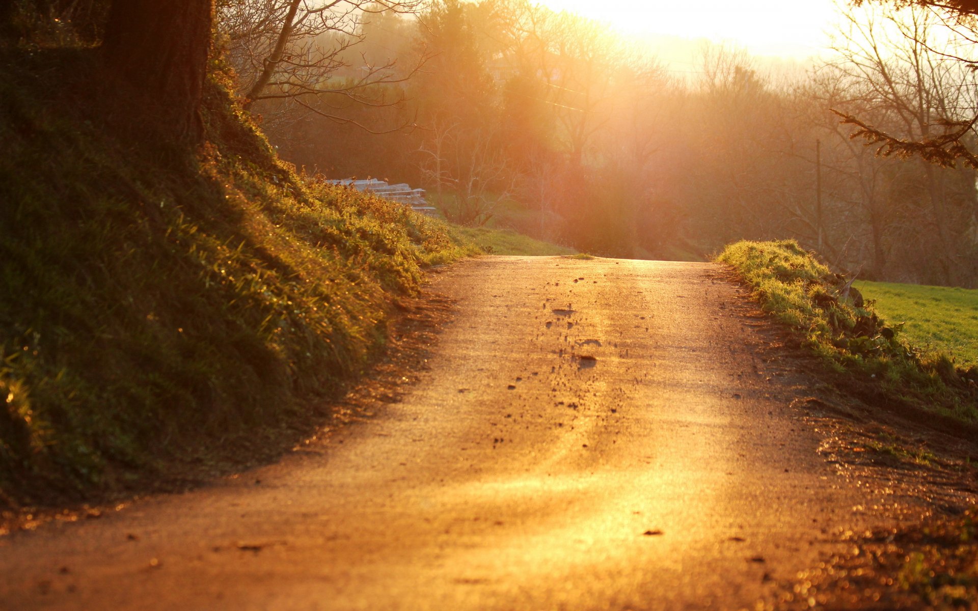 coucher de soleil route paysage