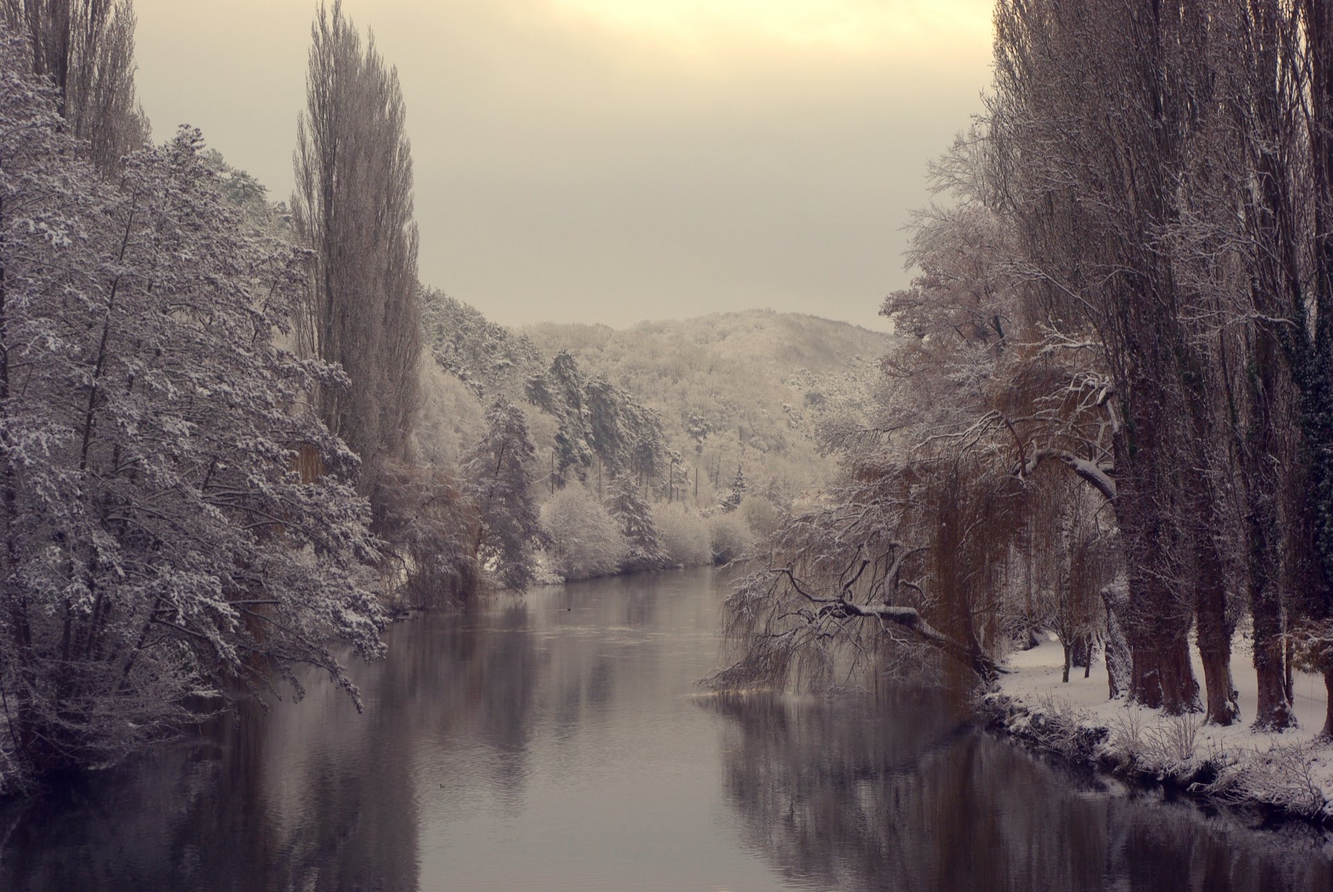 winter fluss wasser teich bäume wald zweige schnee eis kälte natur