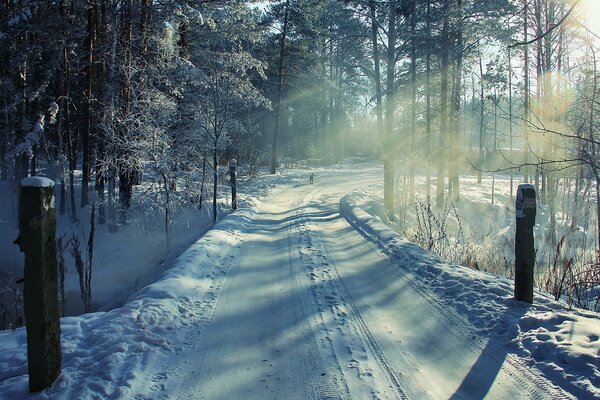 Winter road leading to a fairy tale