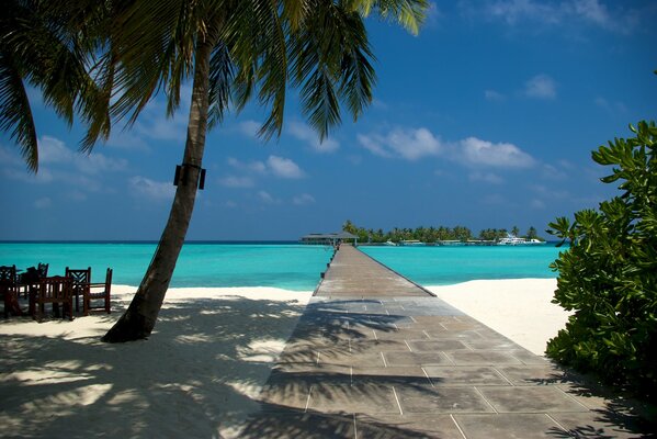 Bella spiaggia alle Maldive