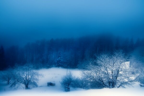 Frostiger Winterabend in der Steppe